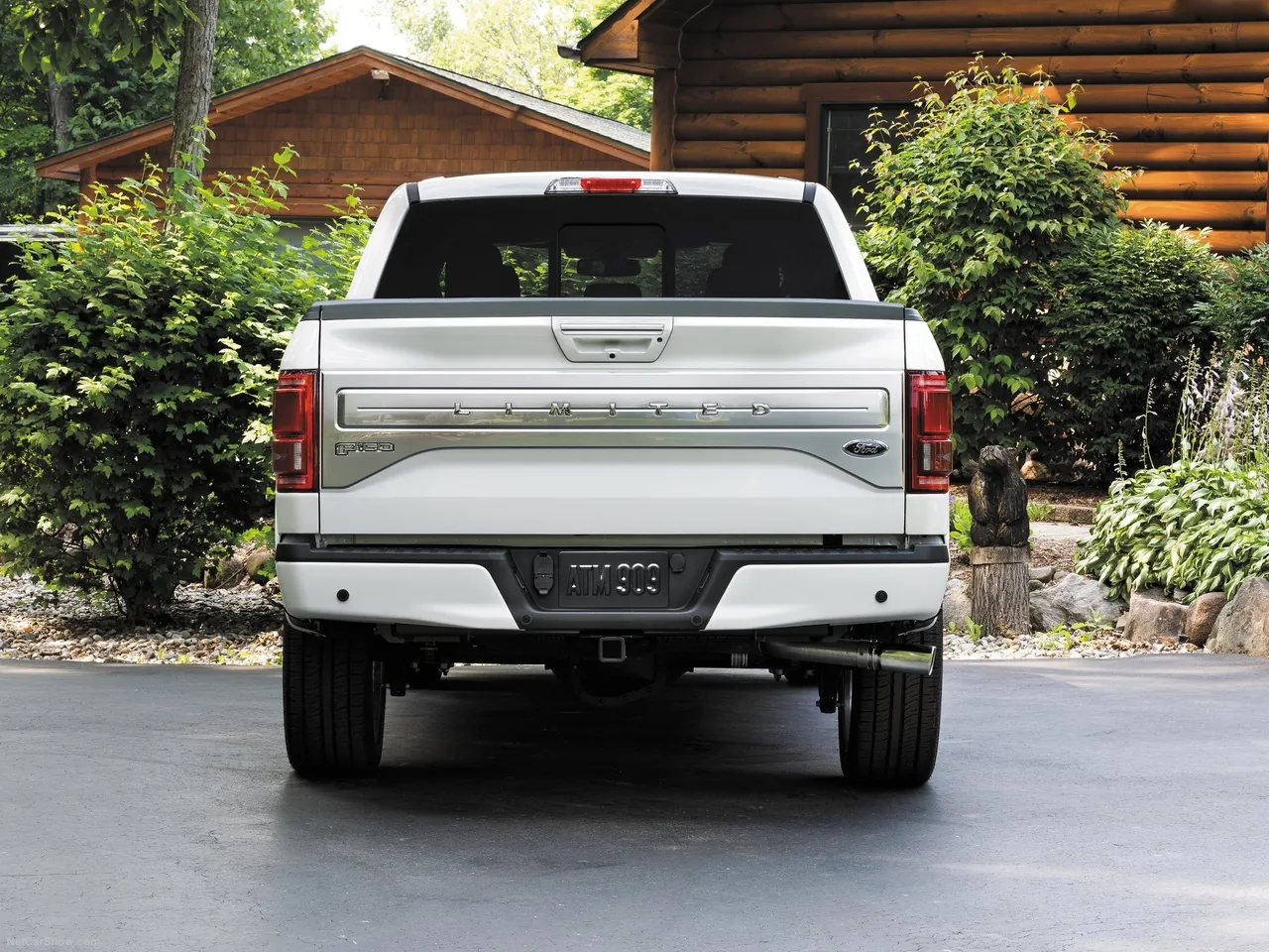 Ford F-150 Limited (2016) – zezadu