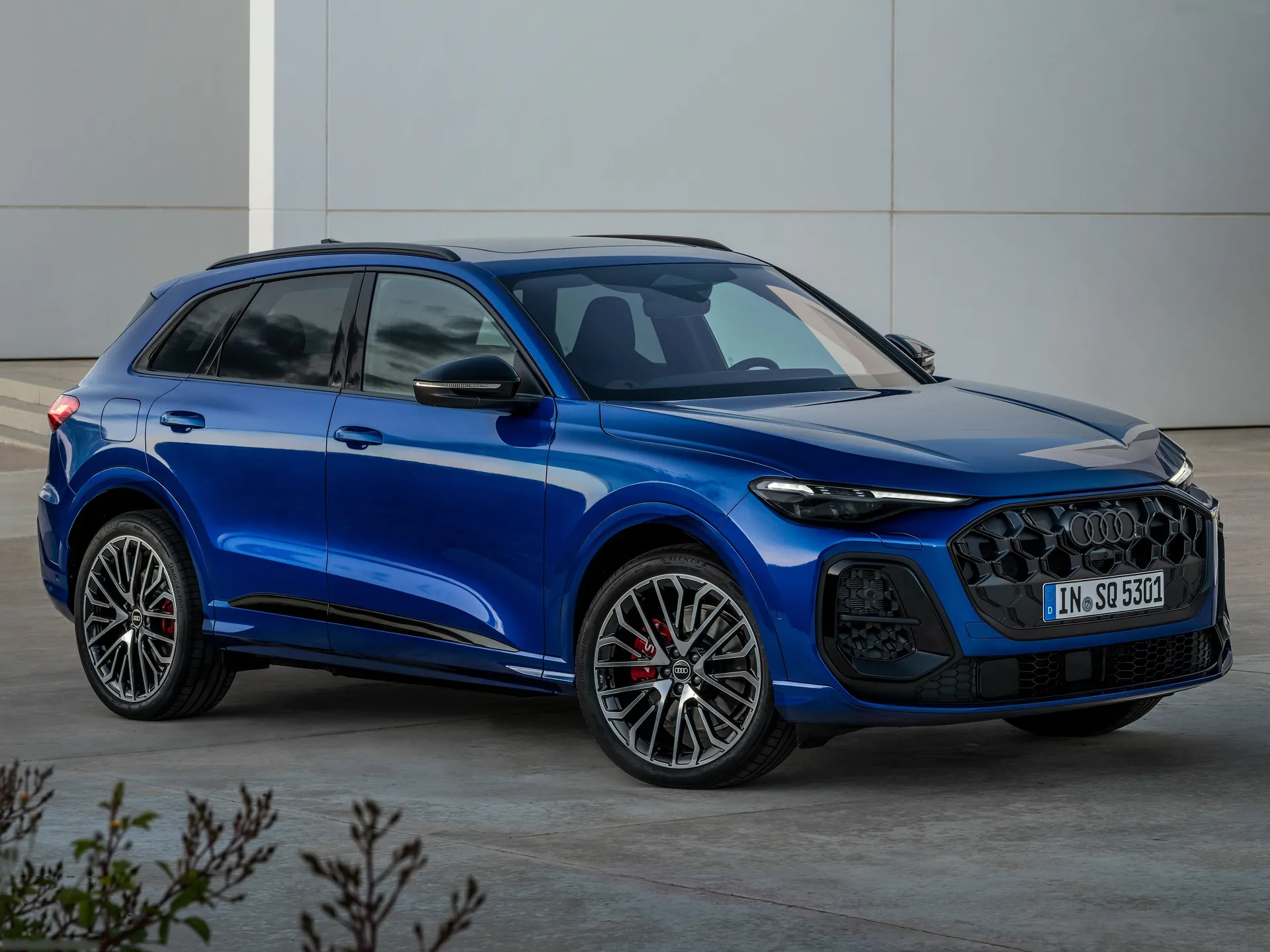 Audi SQ5 (2025)