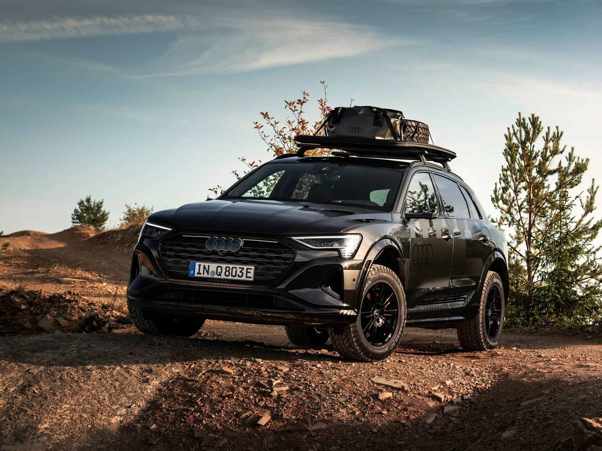 Audi Q8 e-tron Dakar Edition (2024)