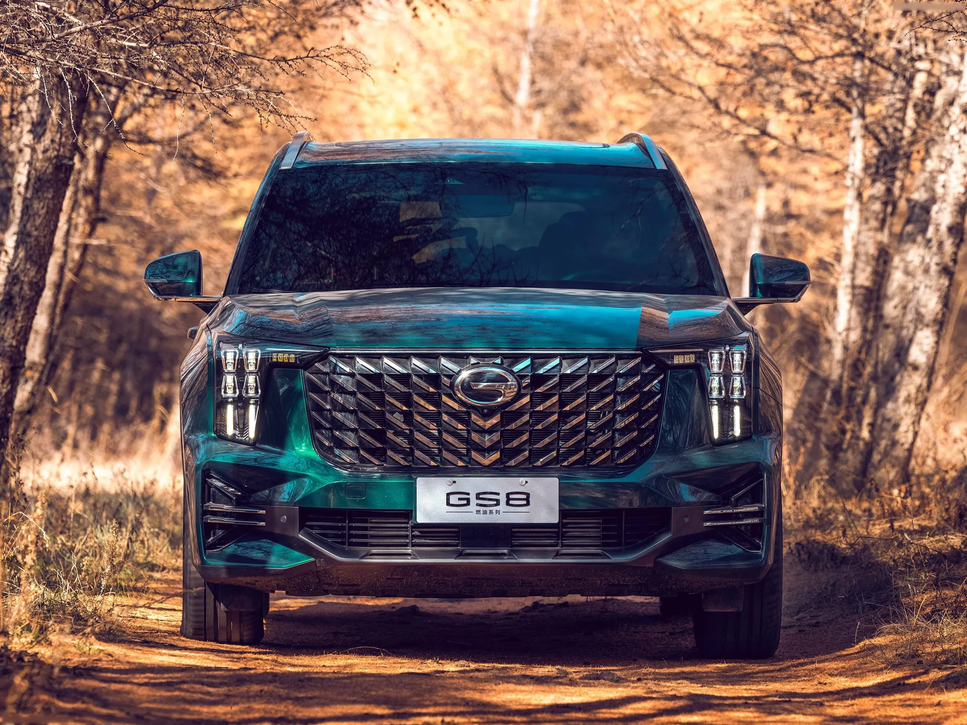 GAC GS8 (2022) – zepředu