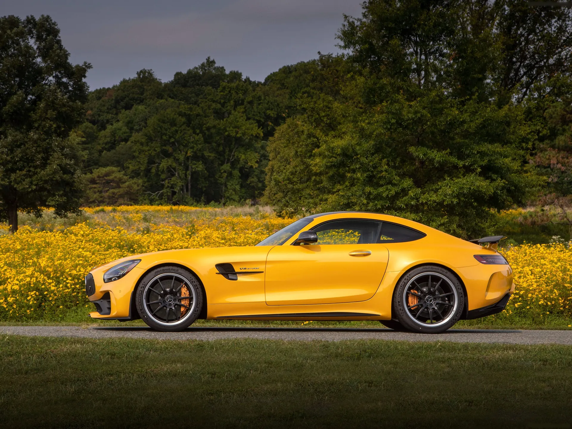 Mercedes-Benz AMG GT R (2020) - Side Profile