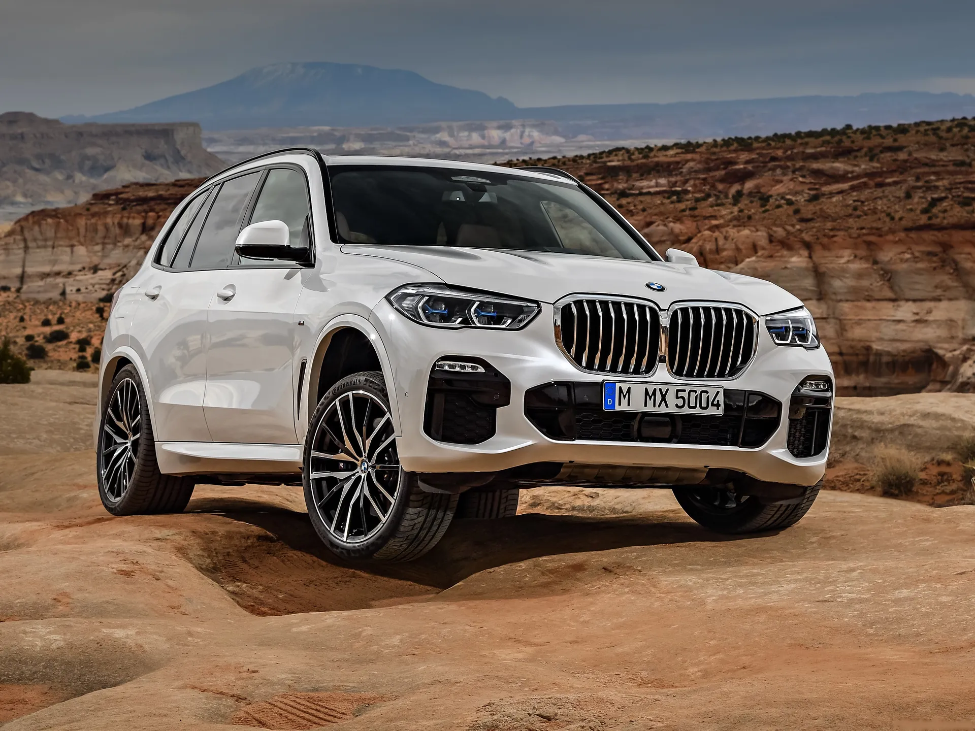 BMW X5 (2019)