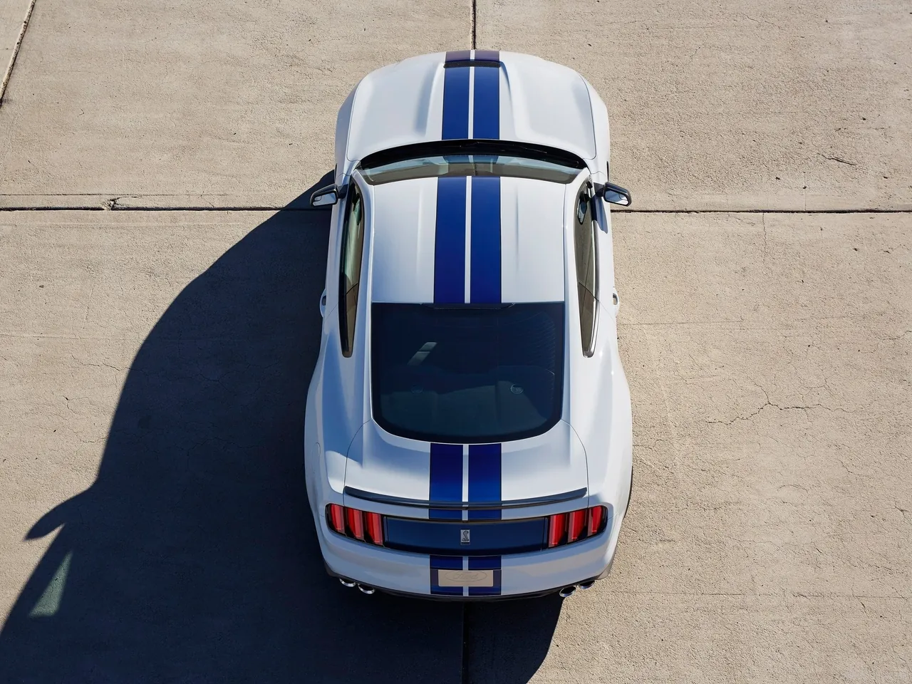 Ford Mustang Shelby GT350 (2016) – zezadu