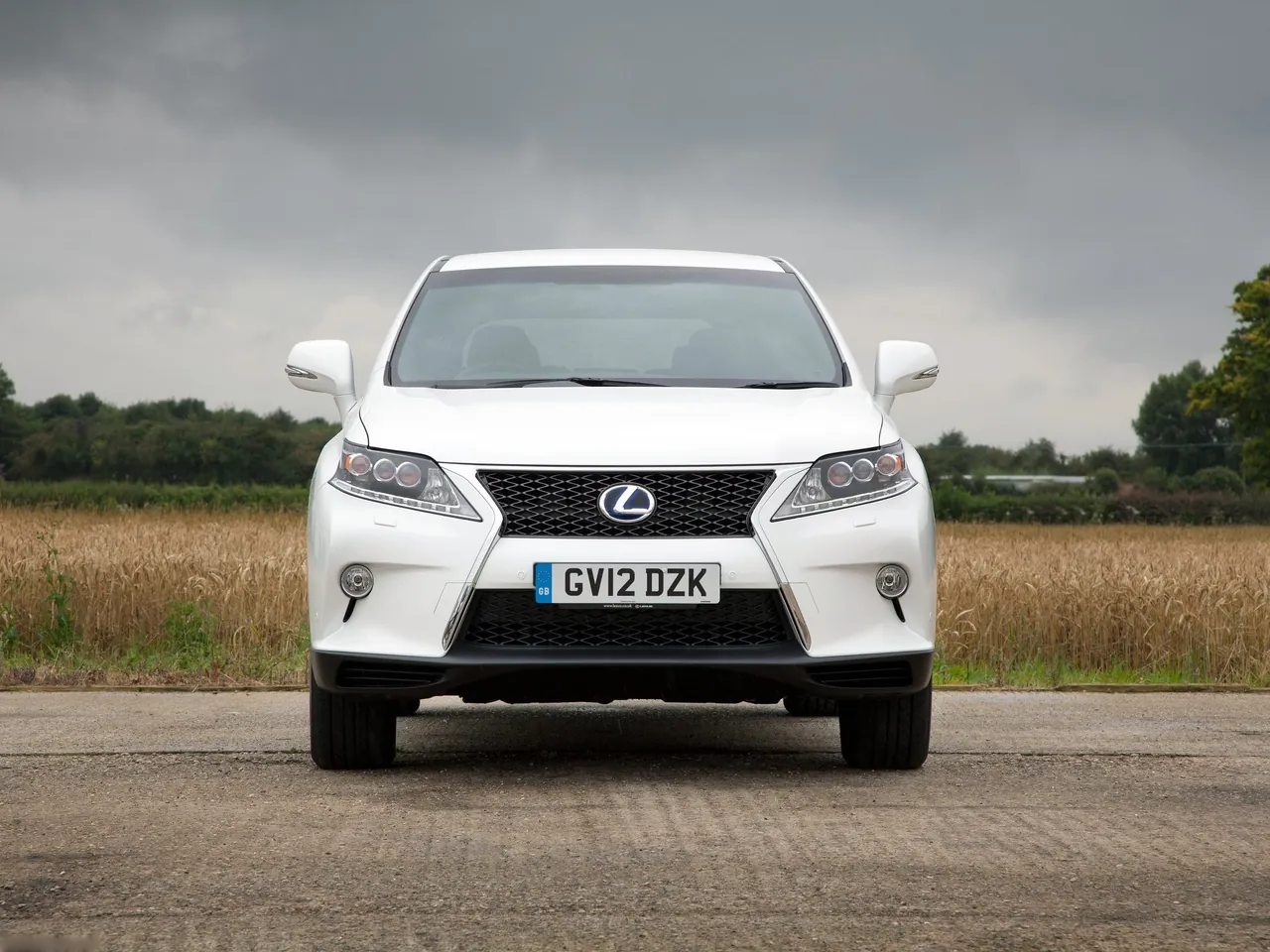 Lexus RX 450h F Sport (2013) – zepředu