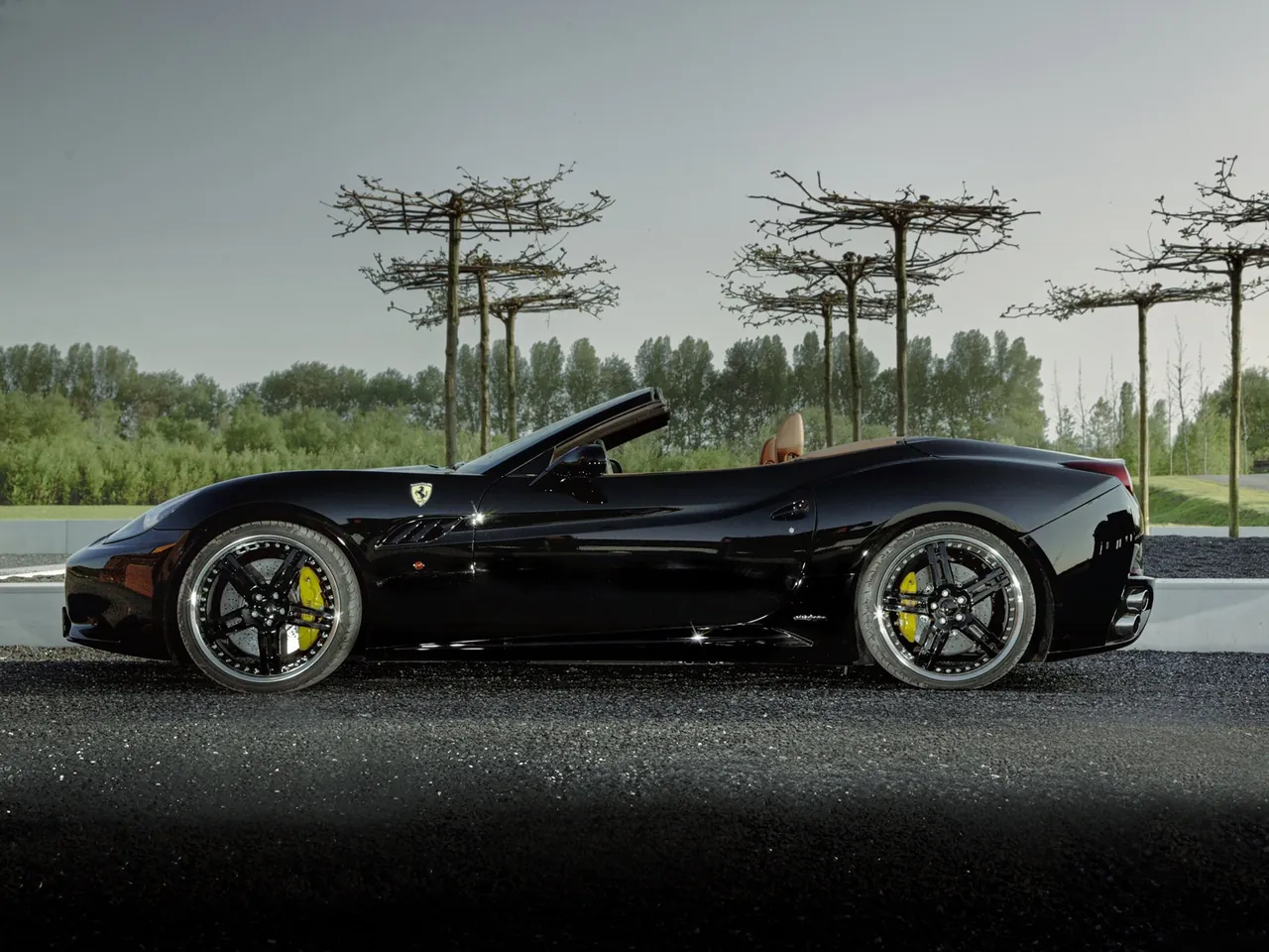 Edo Ferrari California (2009) - Side Profile