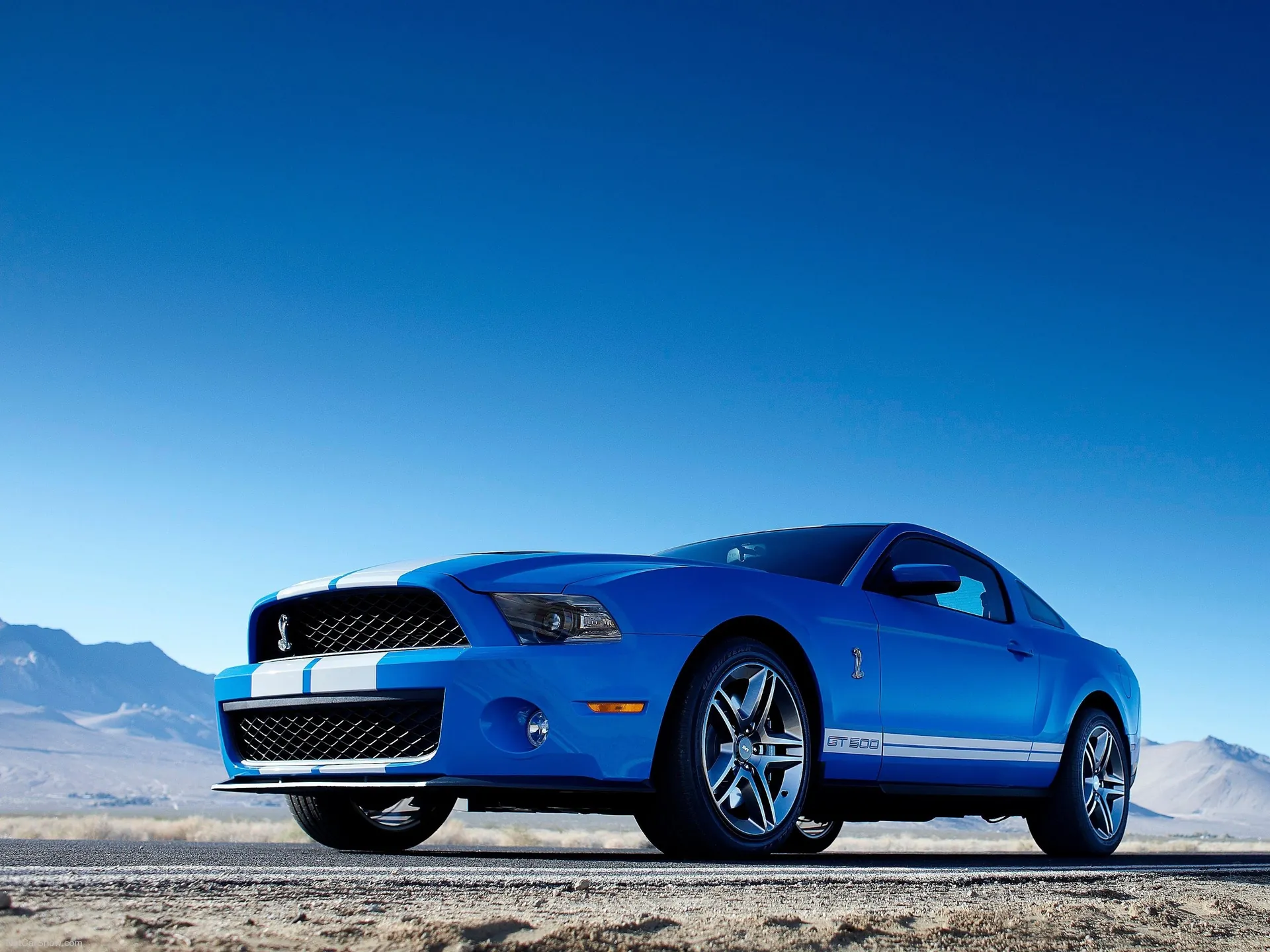 Ford Mustang Shelby GT500 (2010)