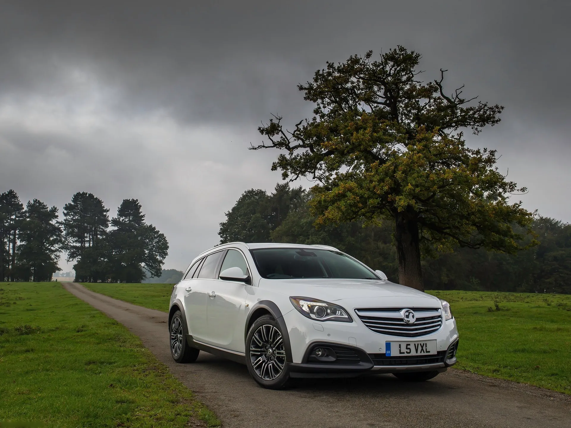 Vauxhall Insignia Country Tourer (2014)