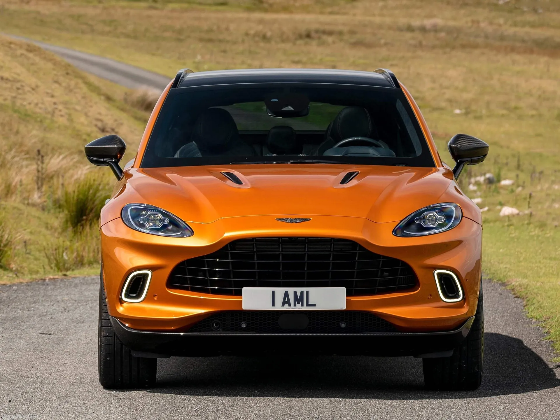 Aston Martin DBX Golden Saffron (2021) – zepředu