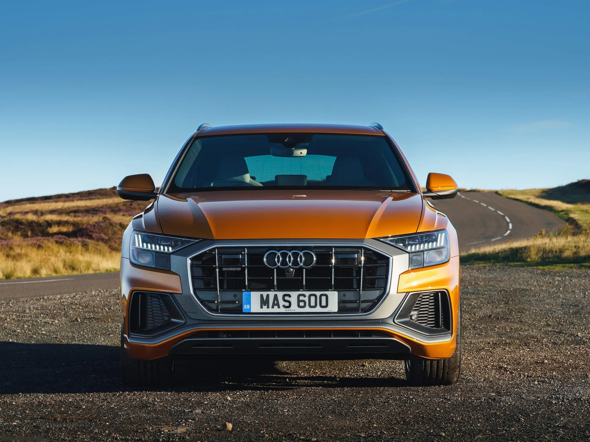 Audi Q8 [UK] (2019) - Front