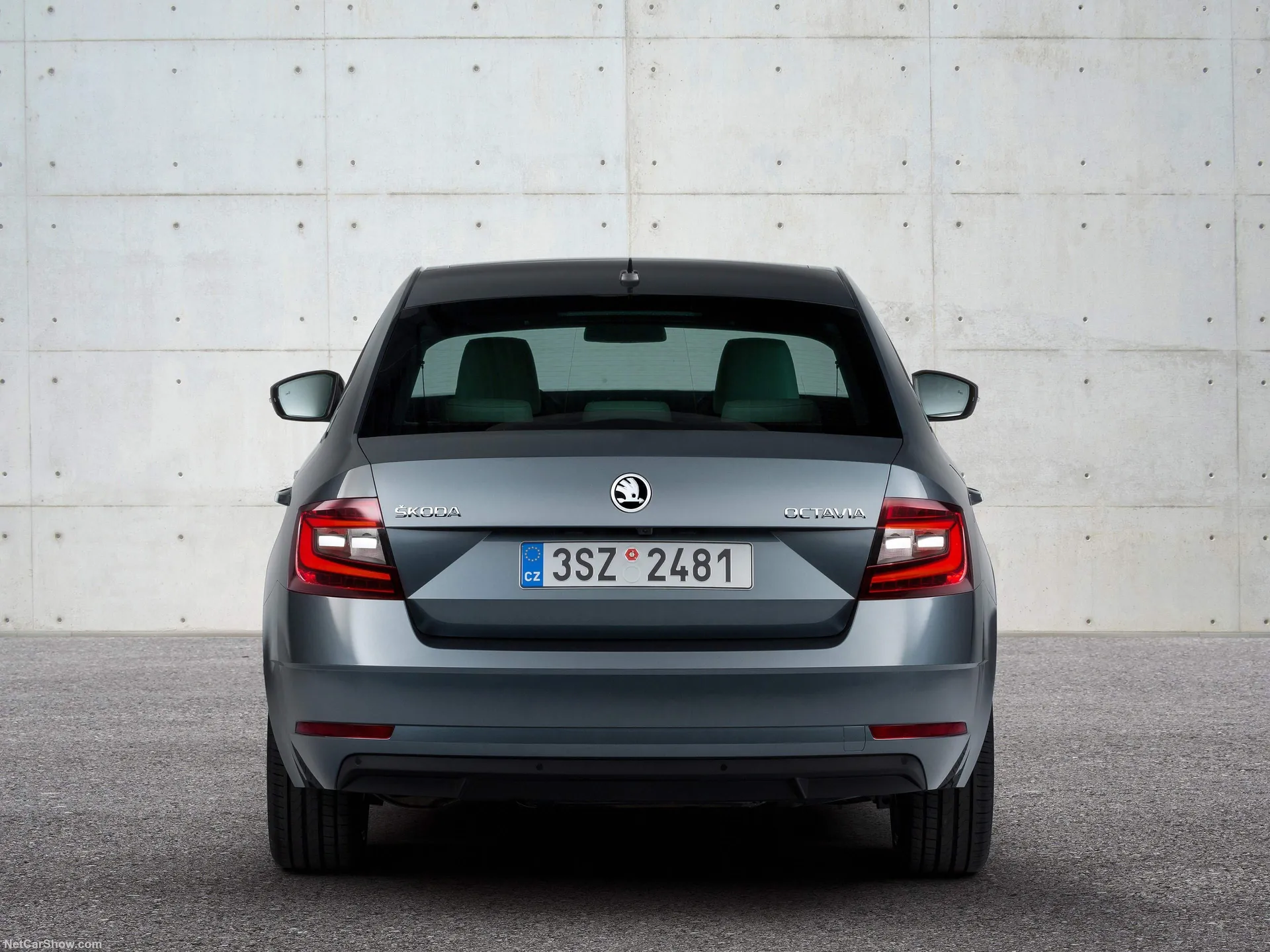 Skoda Octavia (2017) – zezadu