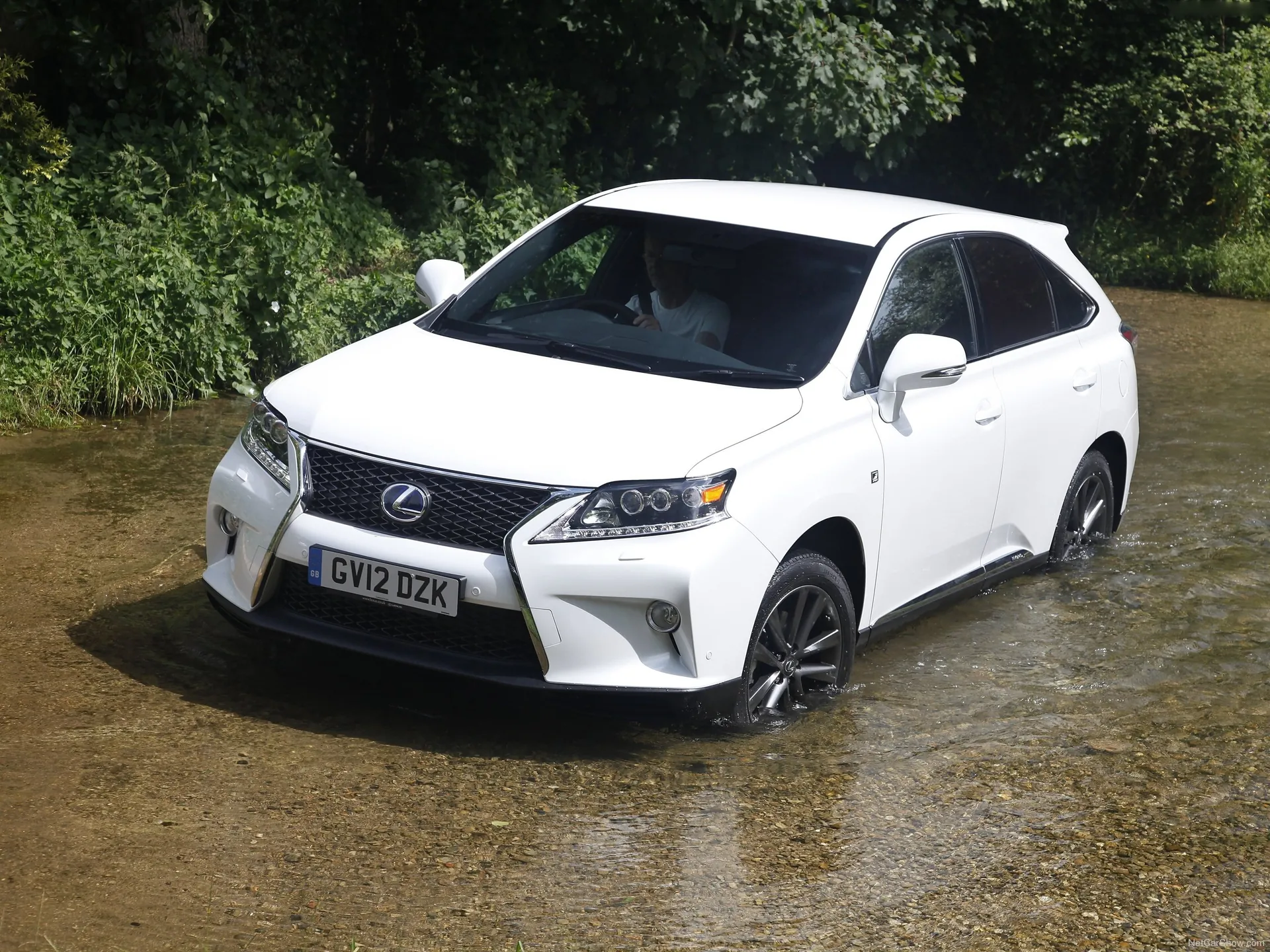 Lexus RX 450h F Sport (2013)