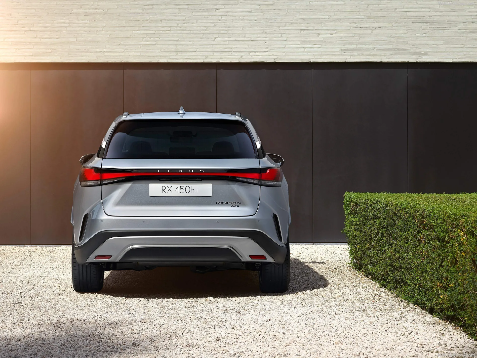 Lexus RX (2023) – zezadu