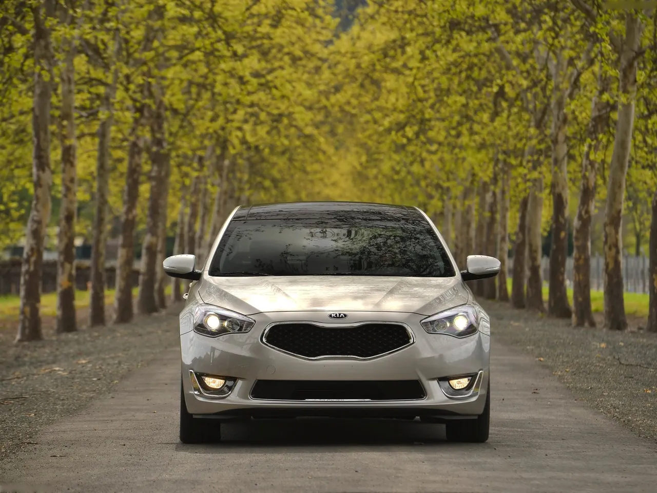 Kia Cadenza (2014) – zepředu