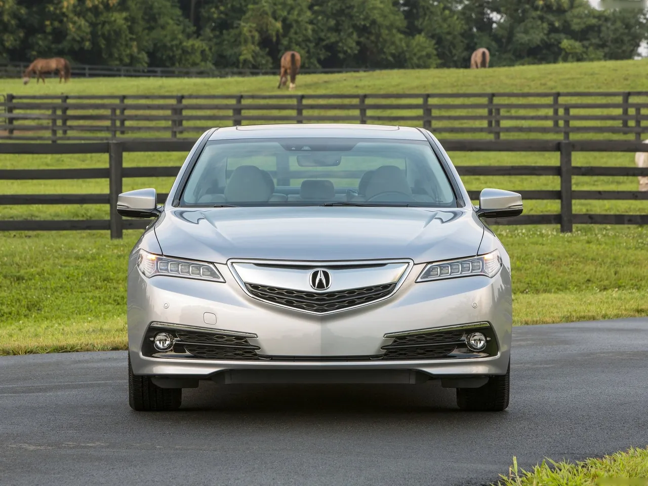 Acura TLX (2015) – zepředu
