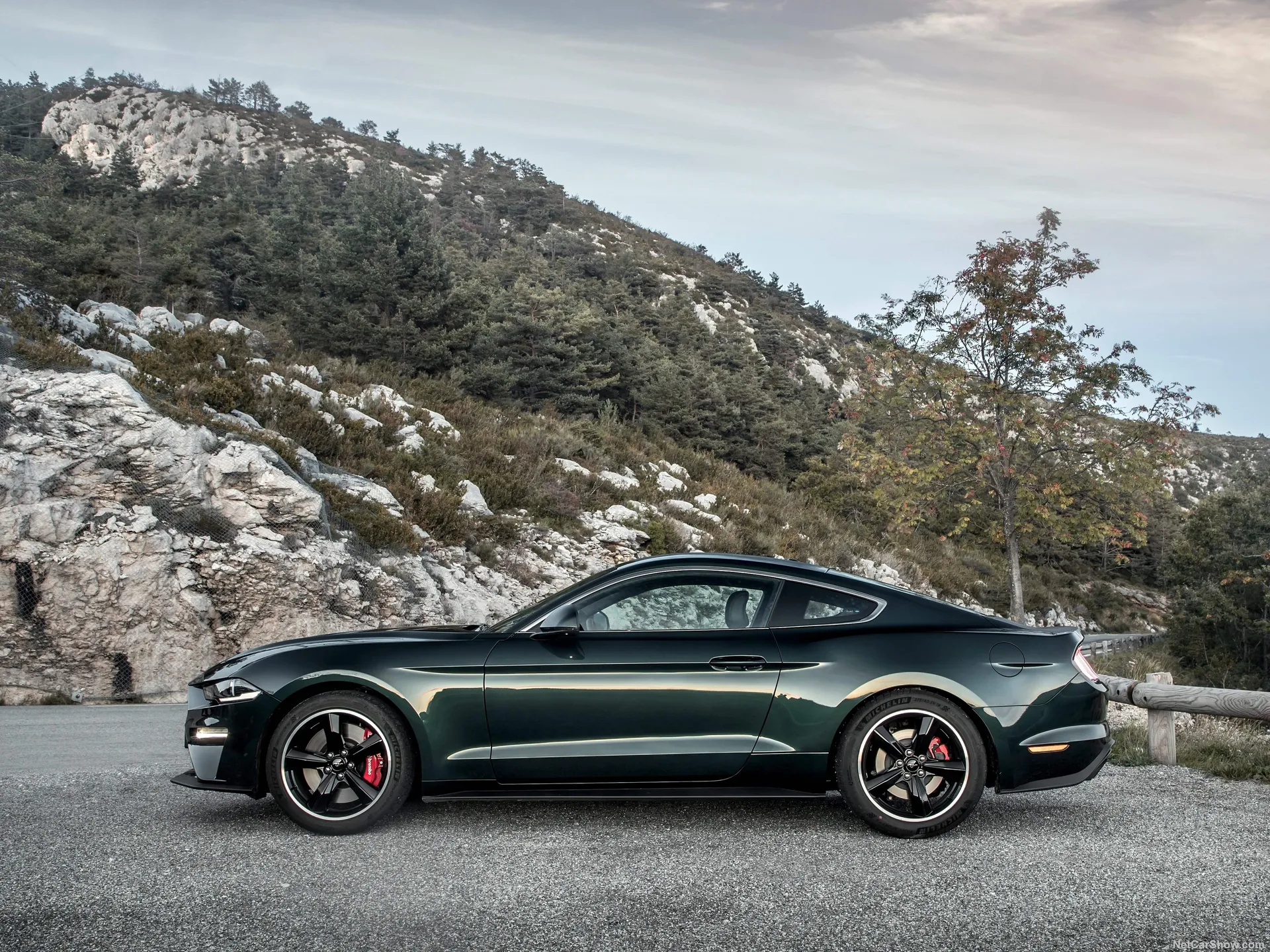 Ford Mustang Bullitt (2019) - Side Profile
