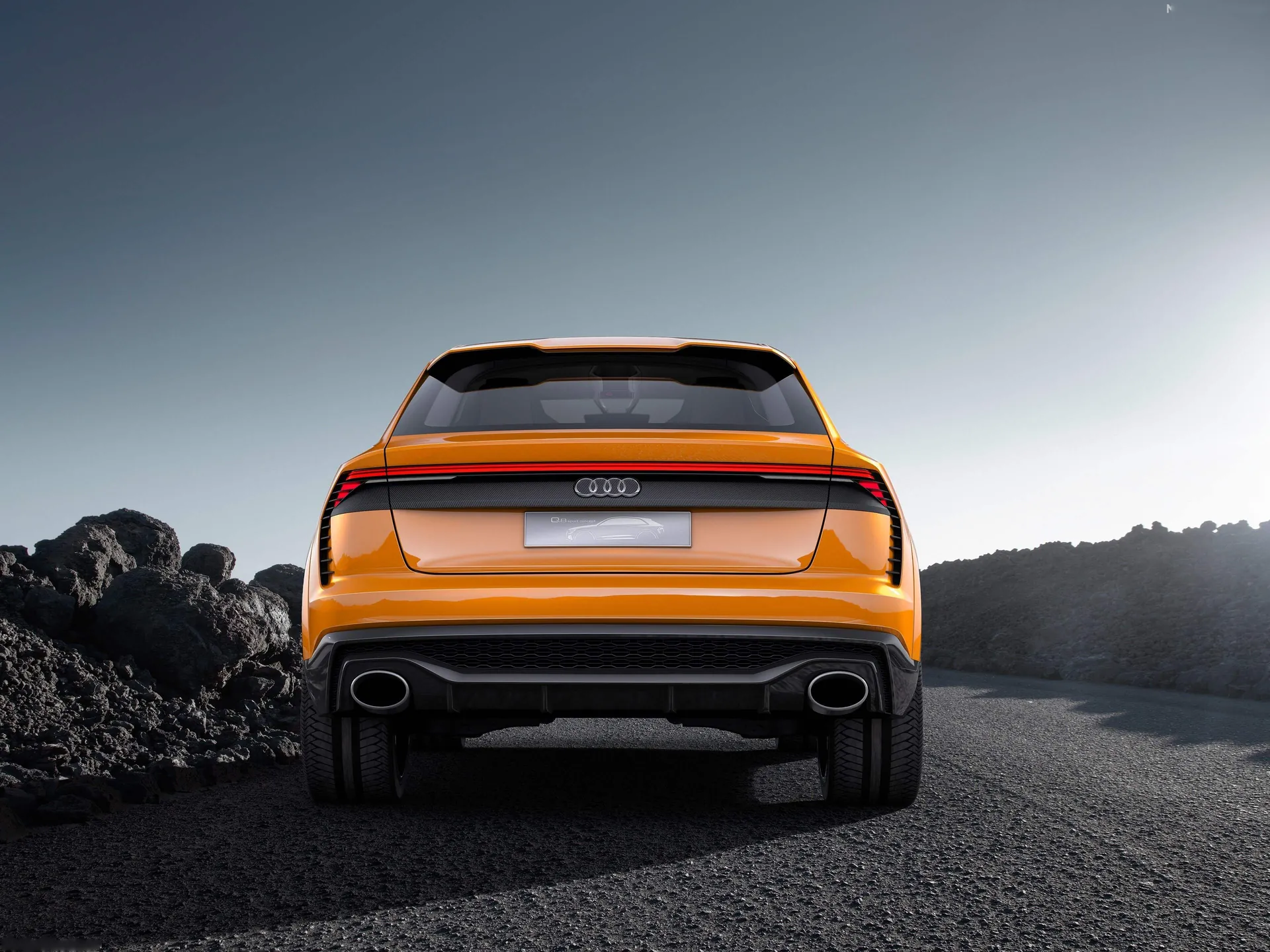 Audi Q8 Sport Concept (2017) – zezadu