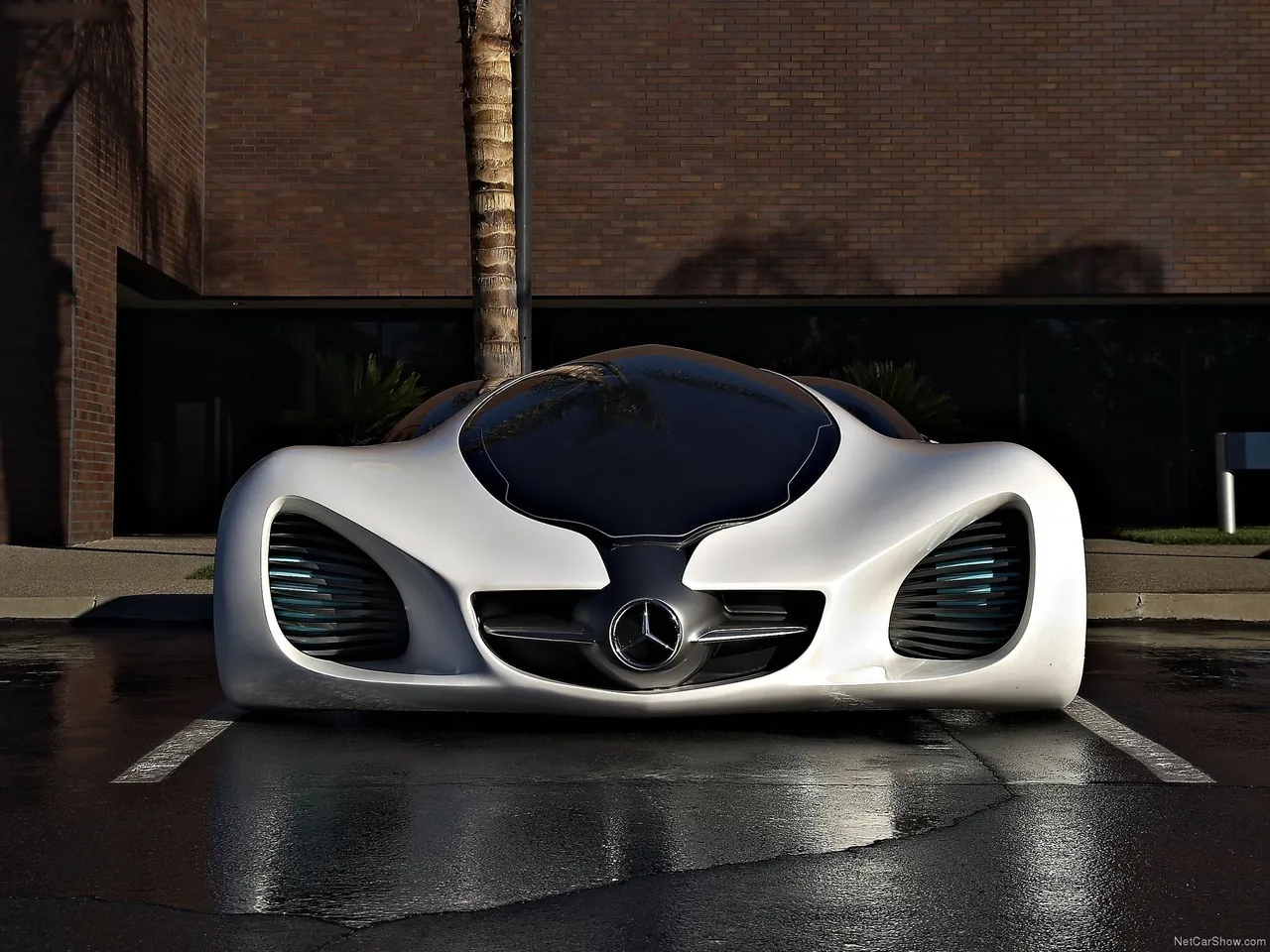 Mercedes-Benz Biome Concept (2010) - Front