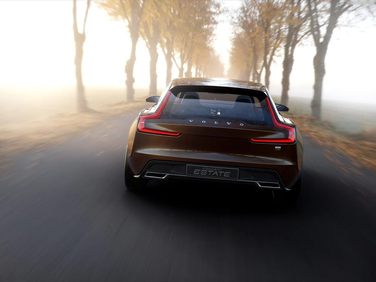 Volvo Estate Concept (2014) – zezadu