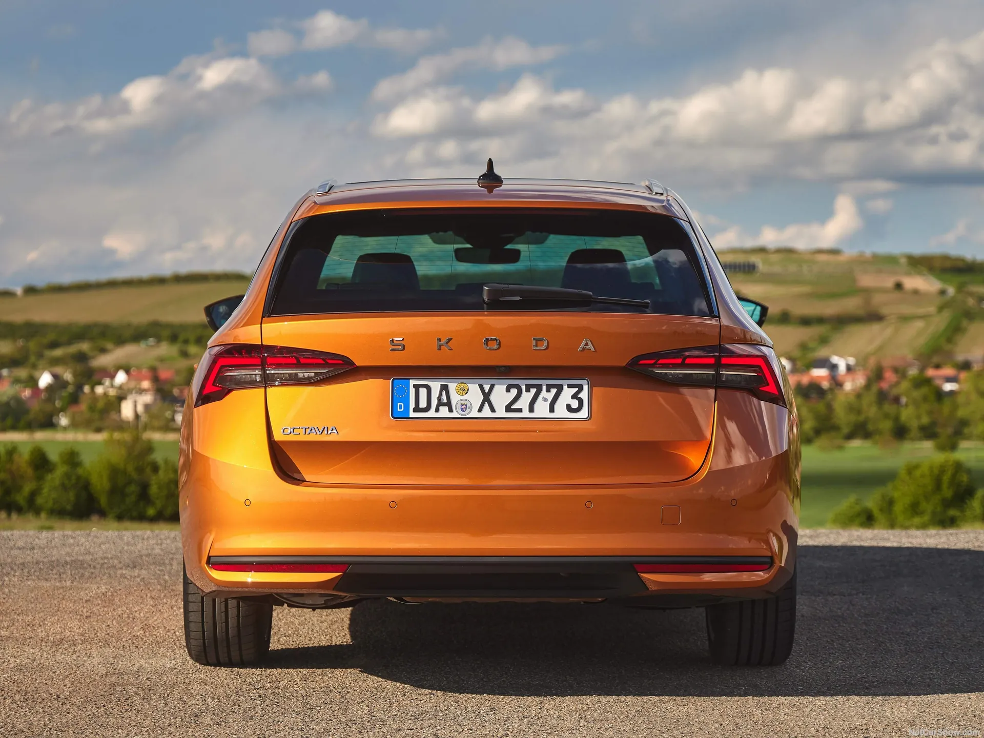 Skoda Octavia Combi (2025) – zezadu