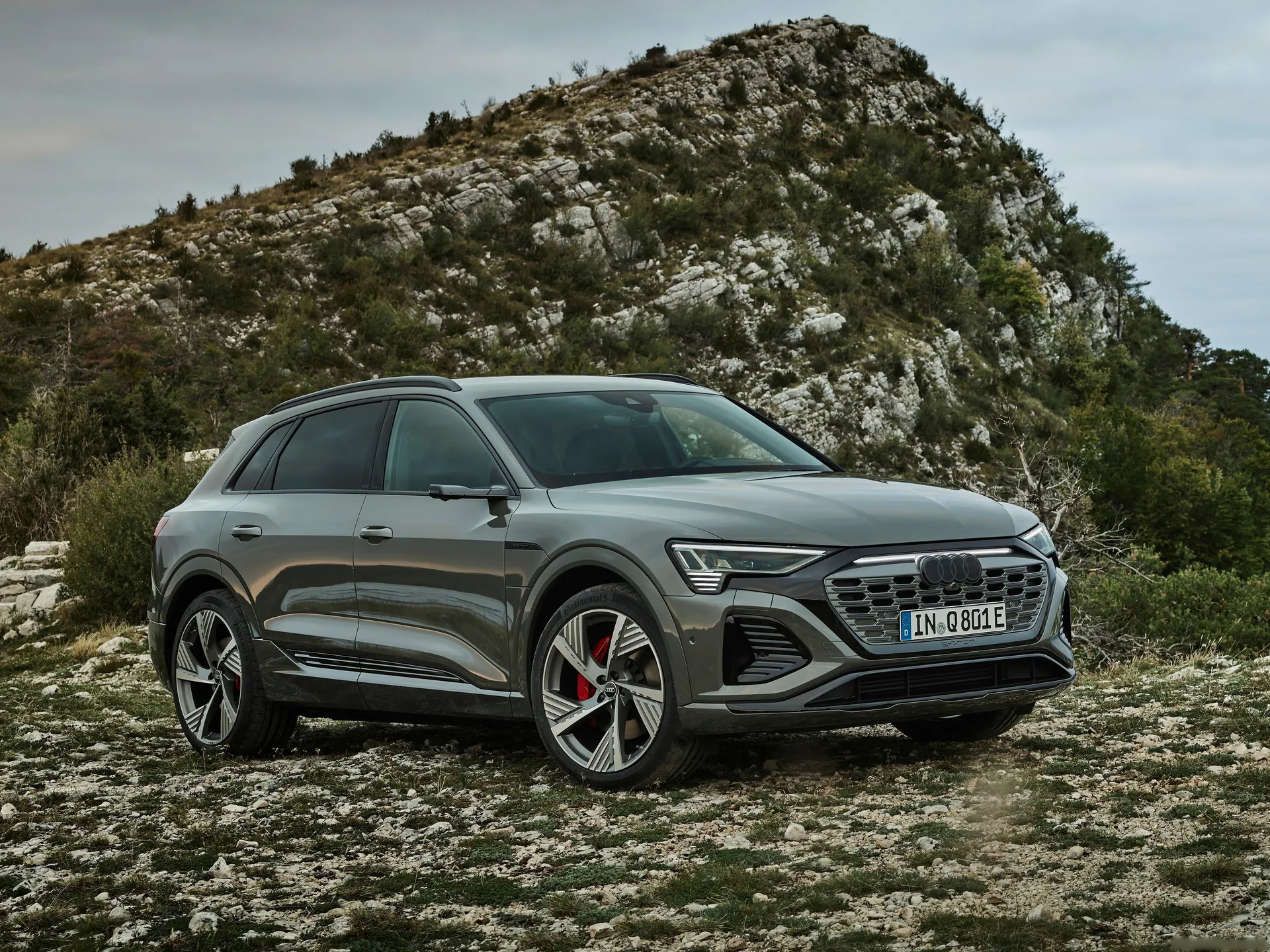 Audi Q8 e-tron quattro (2024)