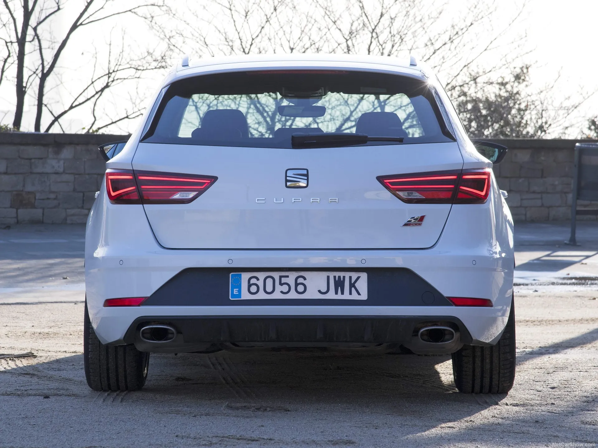 Seat Leon ST Cupra (2017) – zezadu