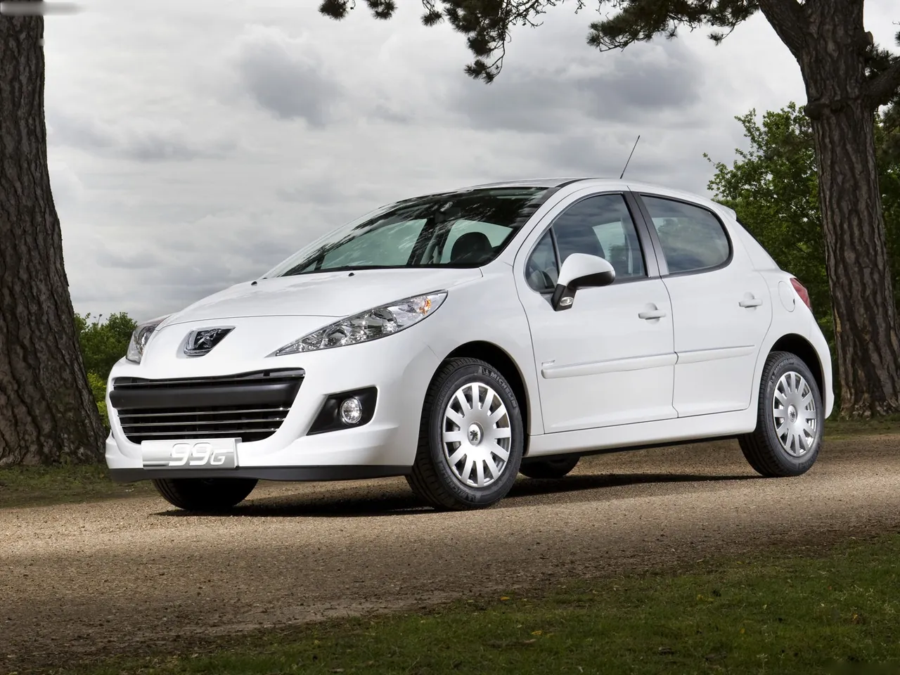 Peugeot 207 (2010)