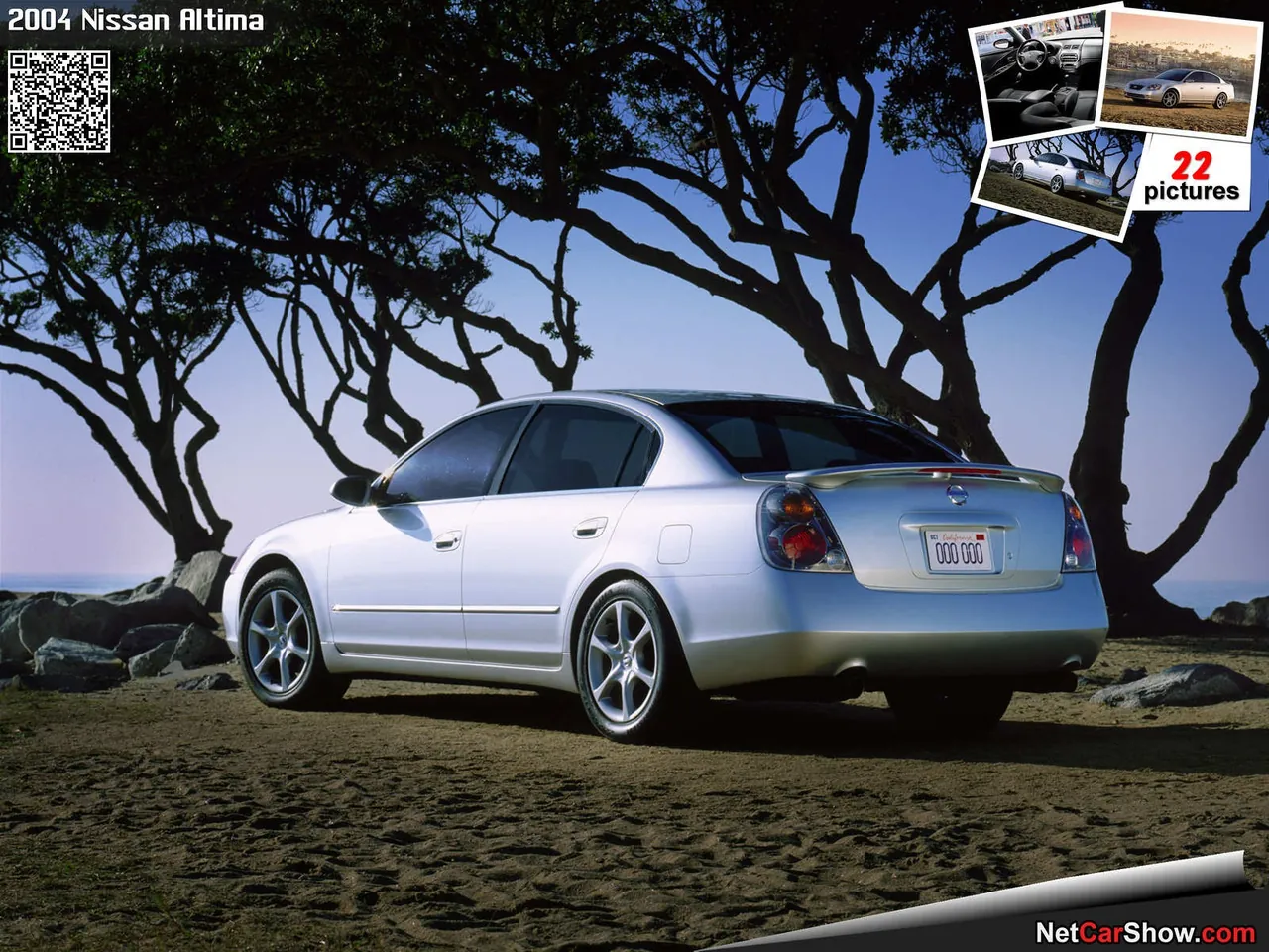 Nissan Altima (2004) – zadní tříčtvrteční pohled