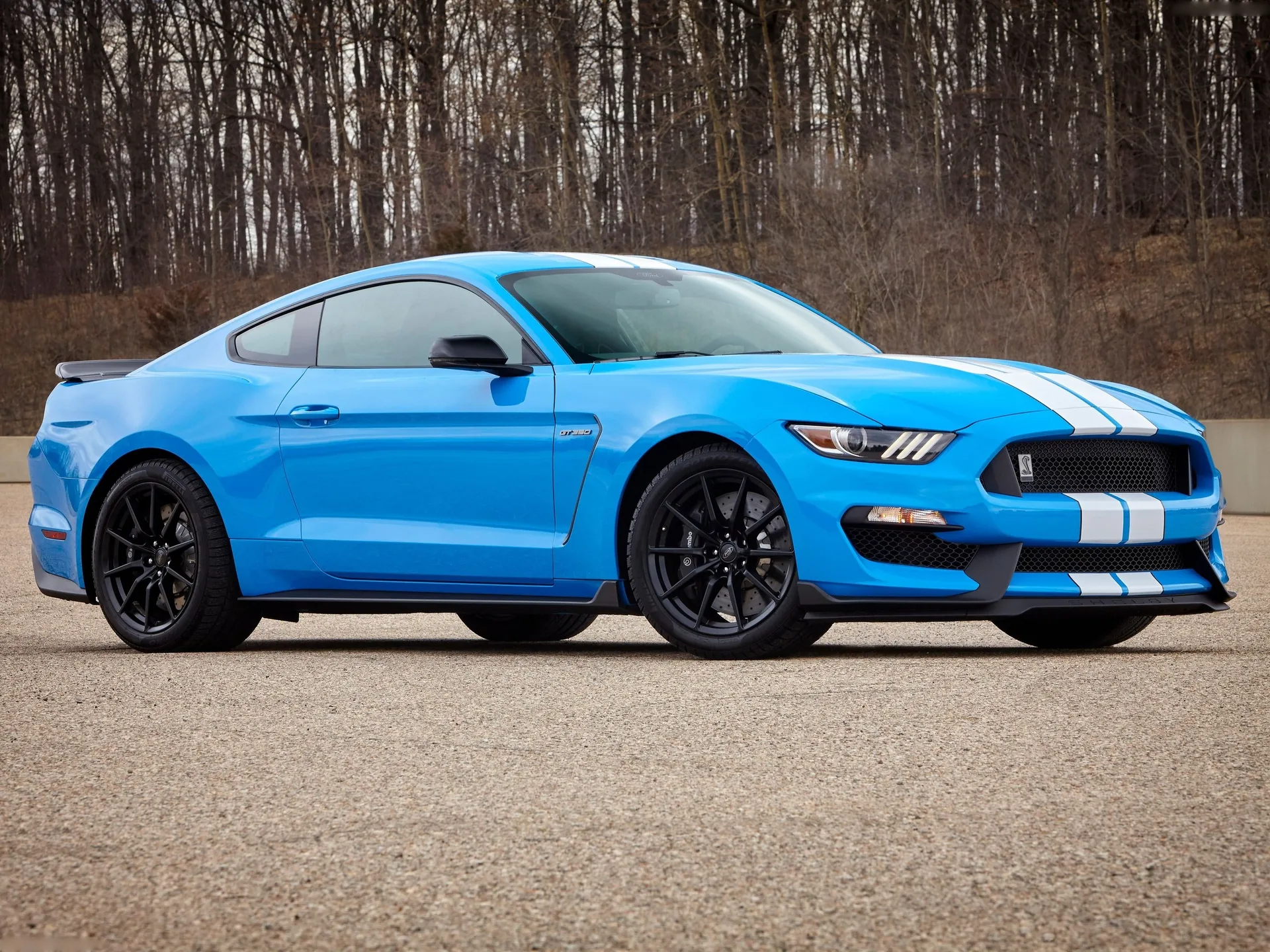 Ford Mustang Shelby GT350 (2017)