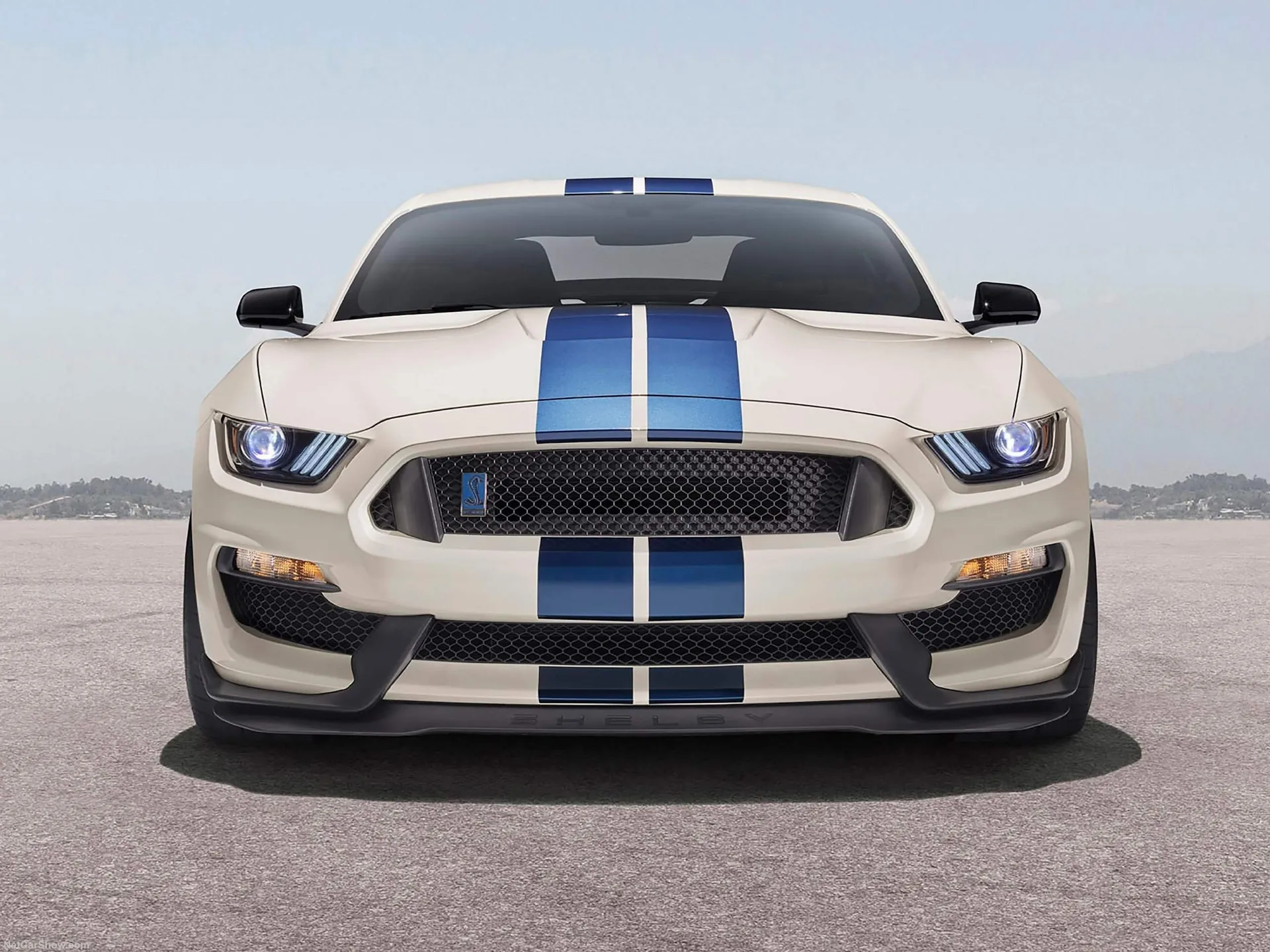 Ford Mustang Shelby GT350 Heritage Edition (2020) - Front