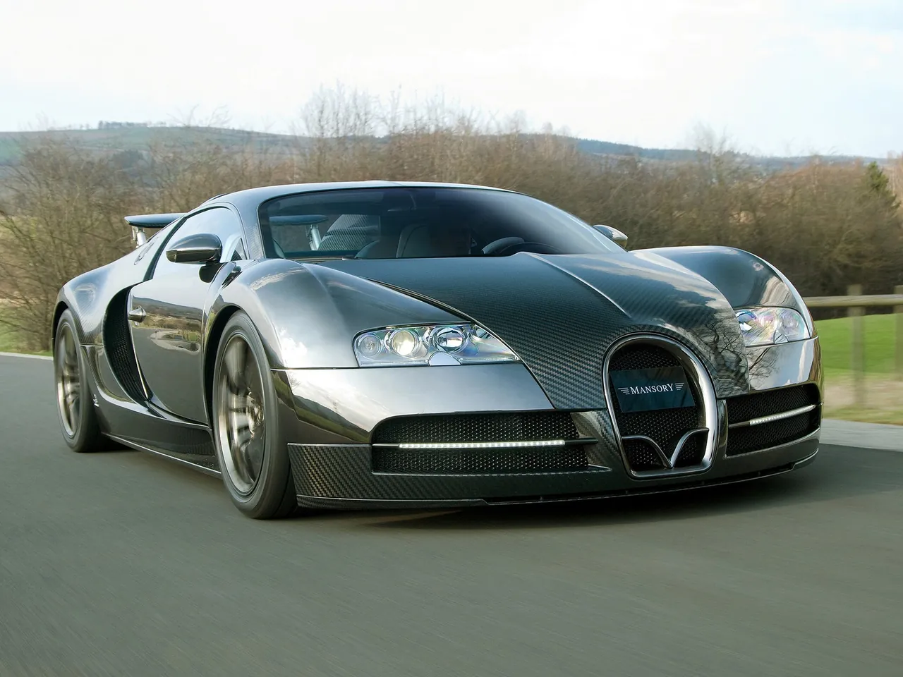Mansory Bugatti Veyron Linea Vincero (2009)