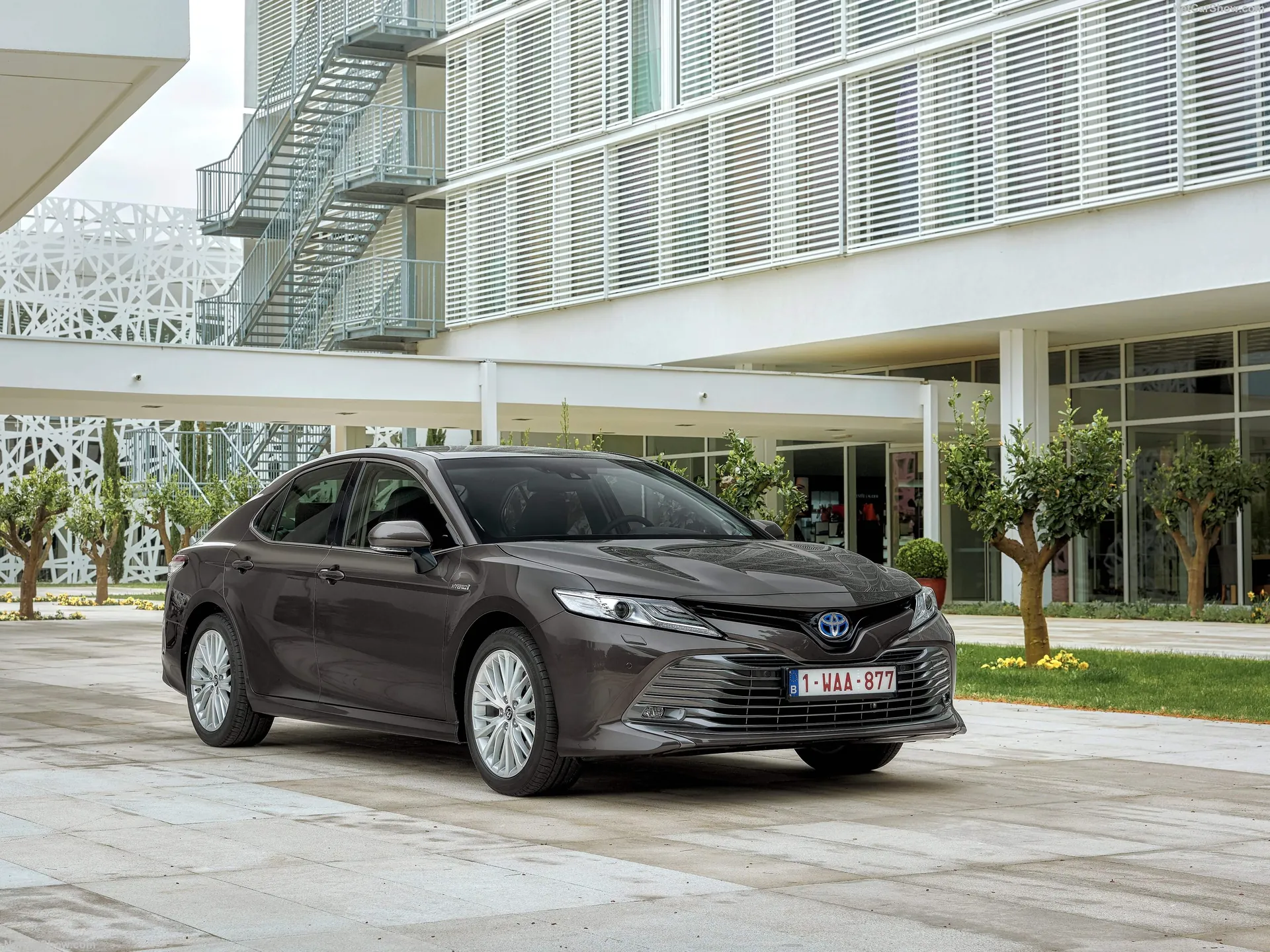 Toyota Camry Hybrid [EU] (2019)