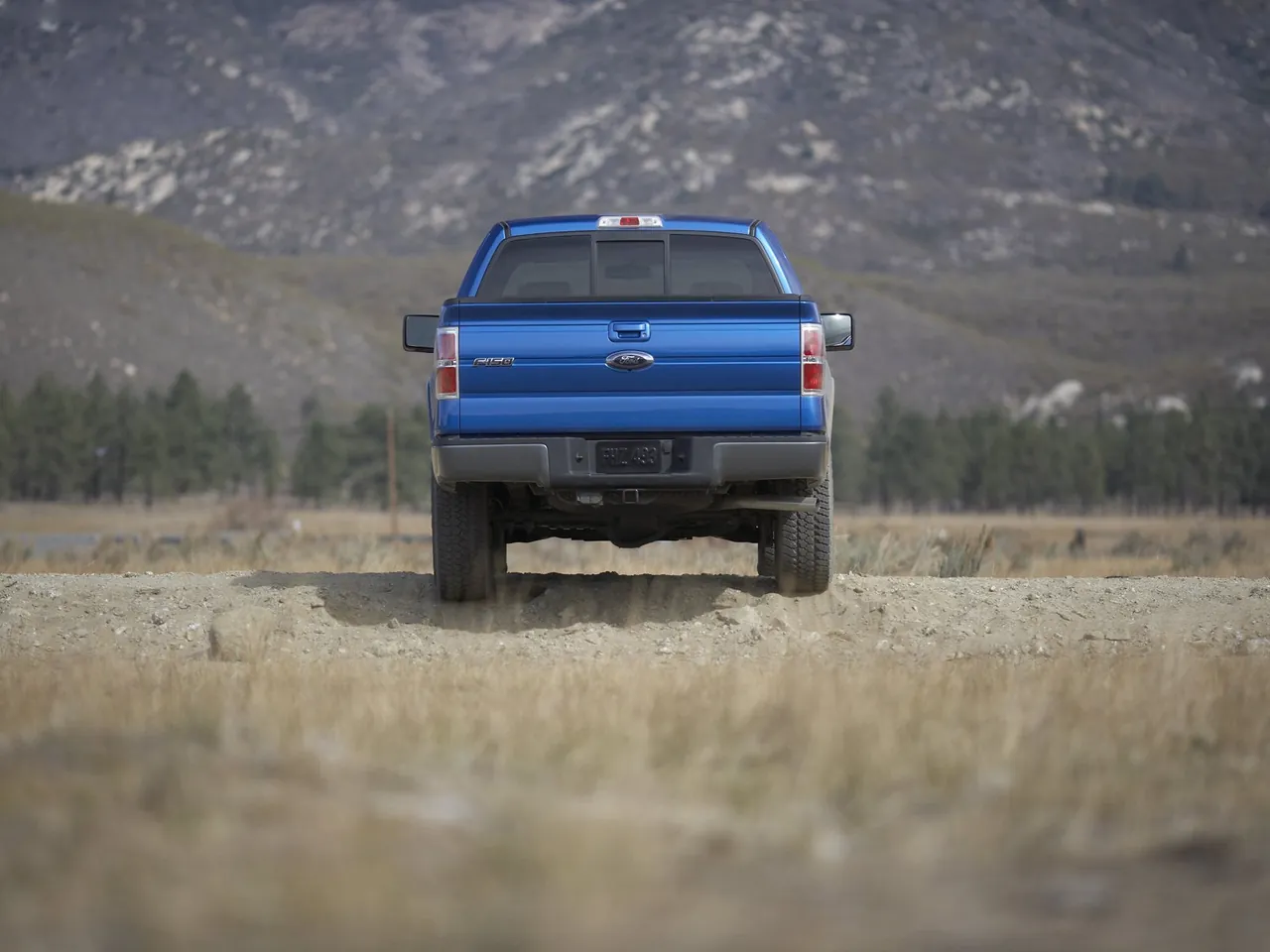 Ford F-150 FX4 (2009) - Rear