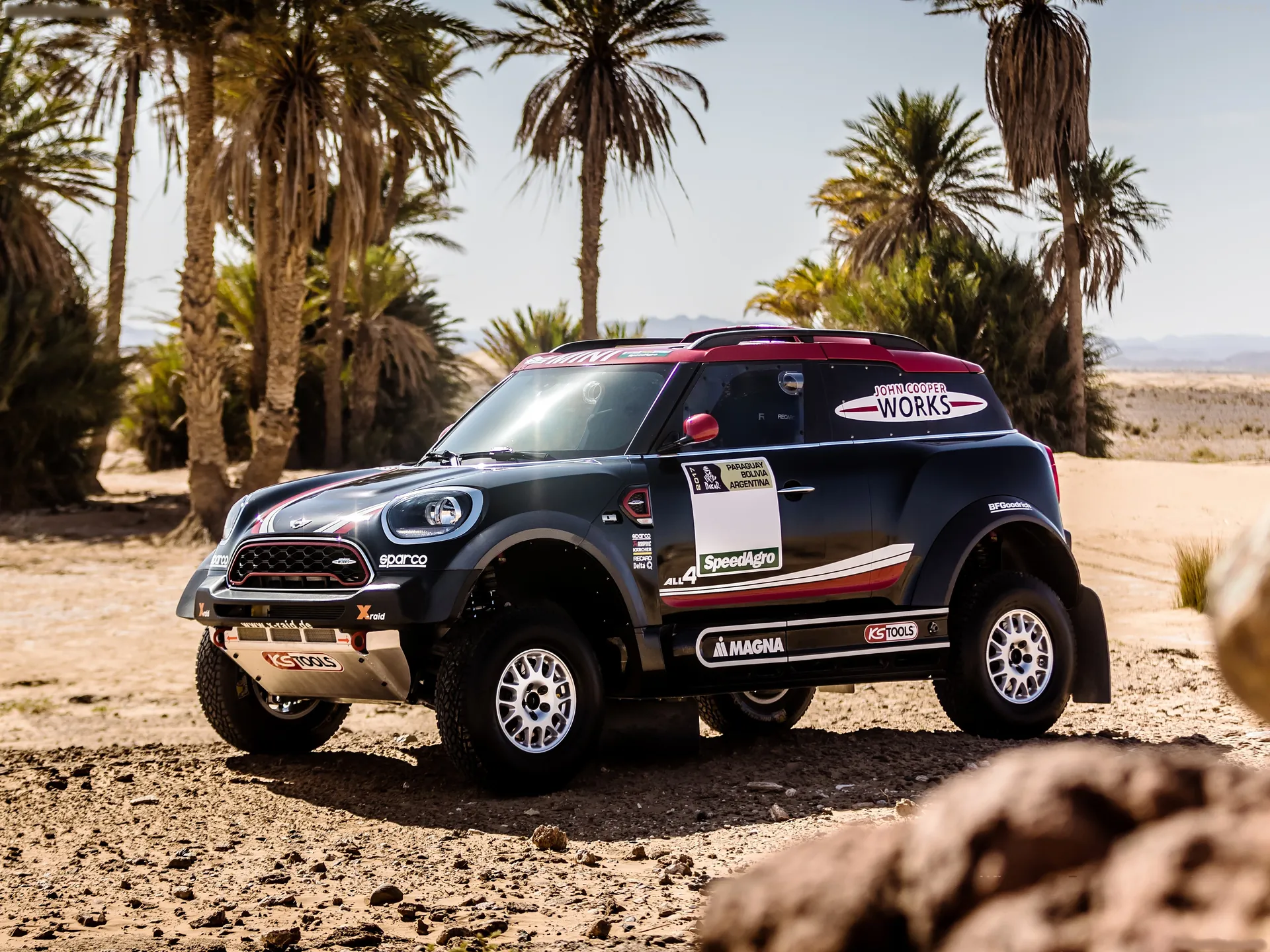 Mini John Cooper Works Rally (2017)