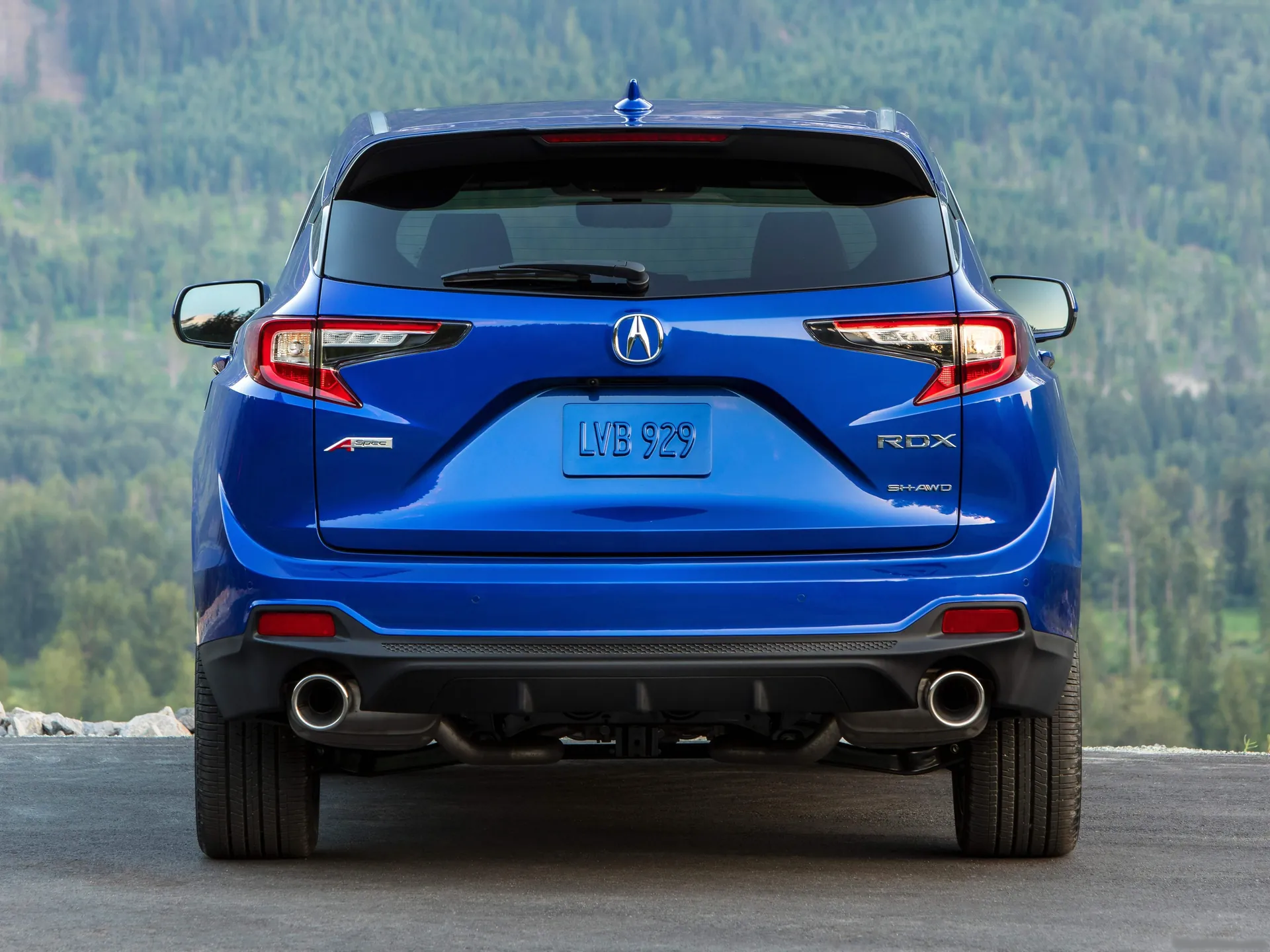 Acura RDX (2019) – zezadu