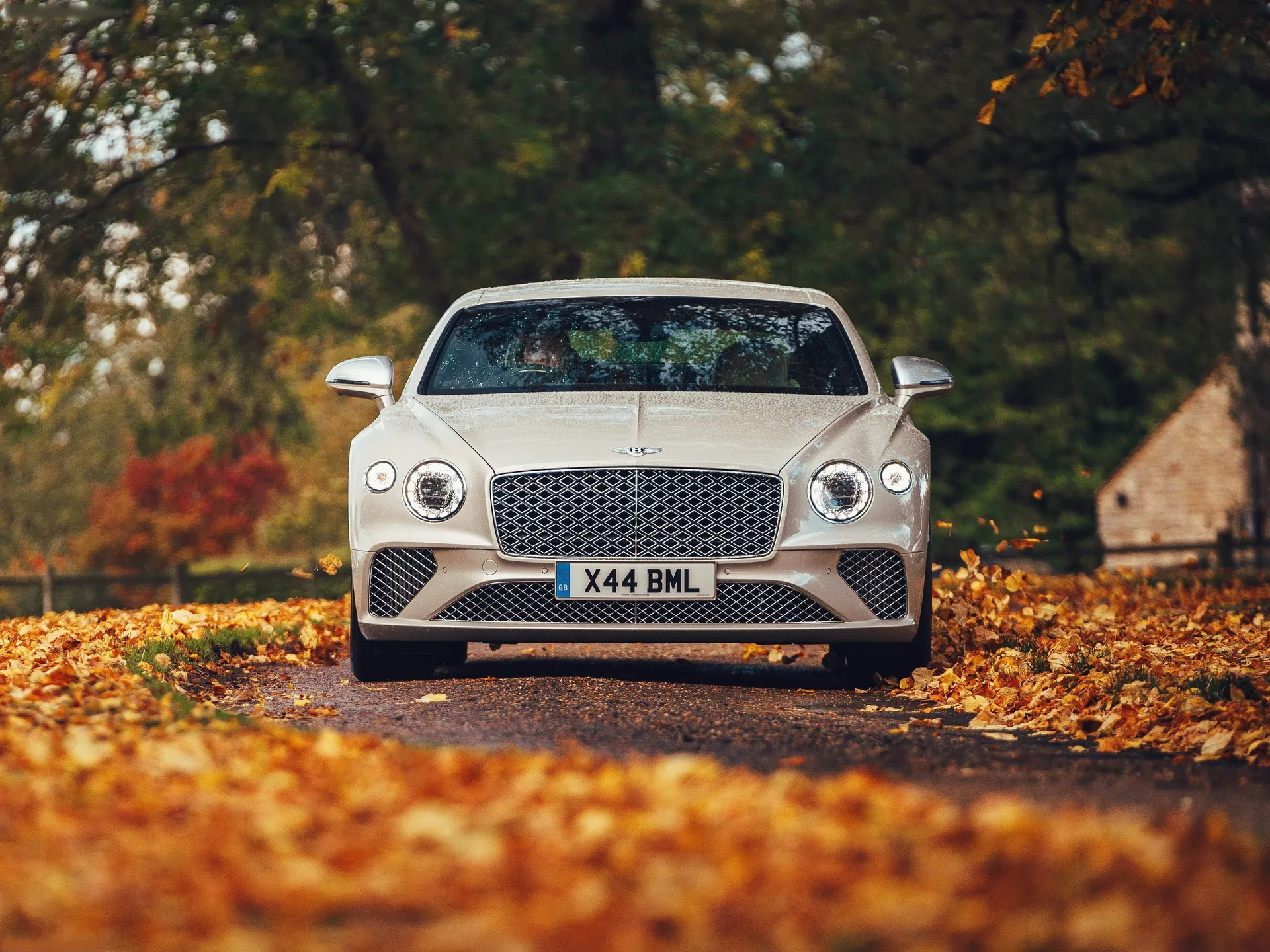 Bentley Continental GT Mulliner (2020) – zepředu