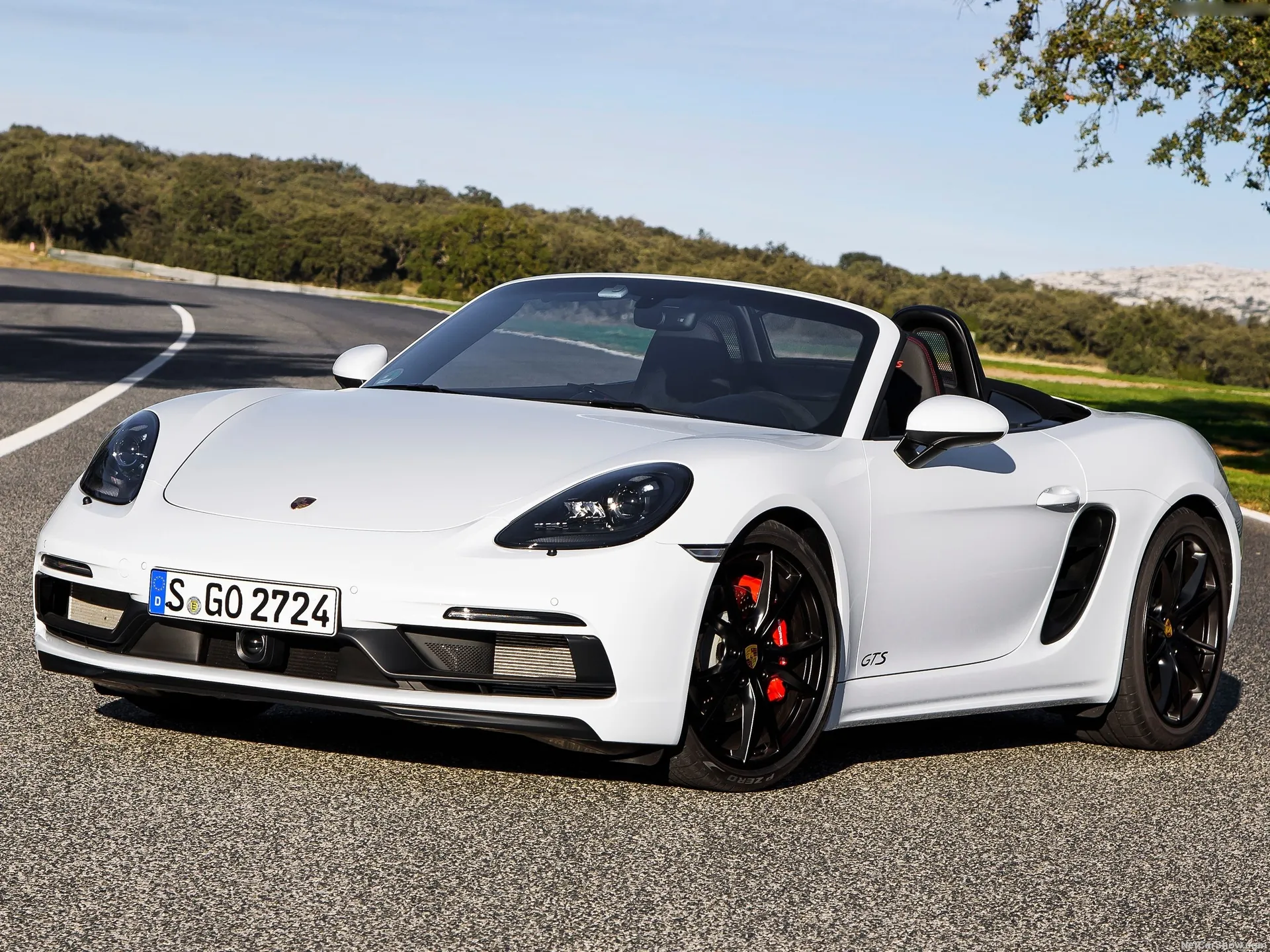 Porsche 718 Boxster GTS (2018)