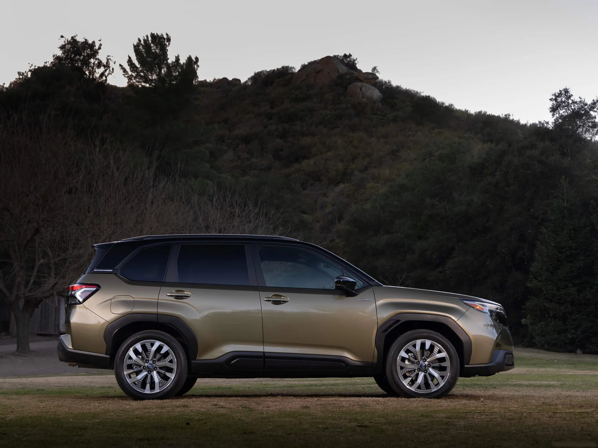 Subaru Forester Hybrid (2025) - Side Profile