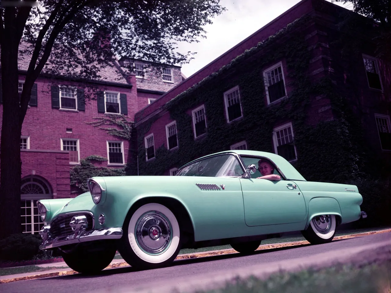 Ford Thunderbird (1955)