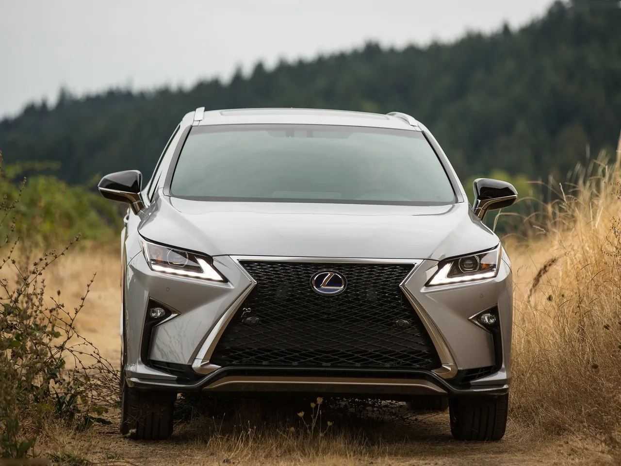 Lexus RX 450h F Sport (2016) – zepředu