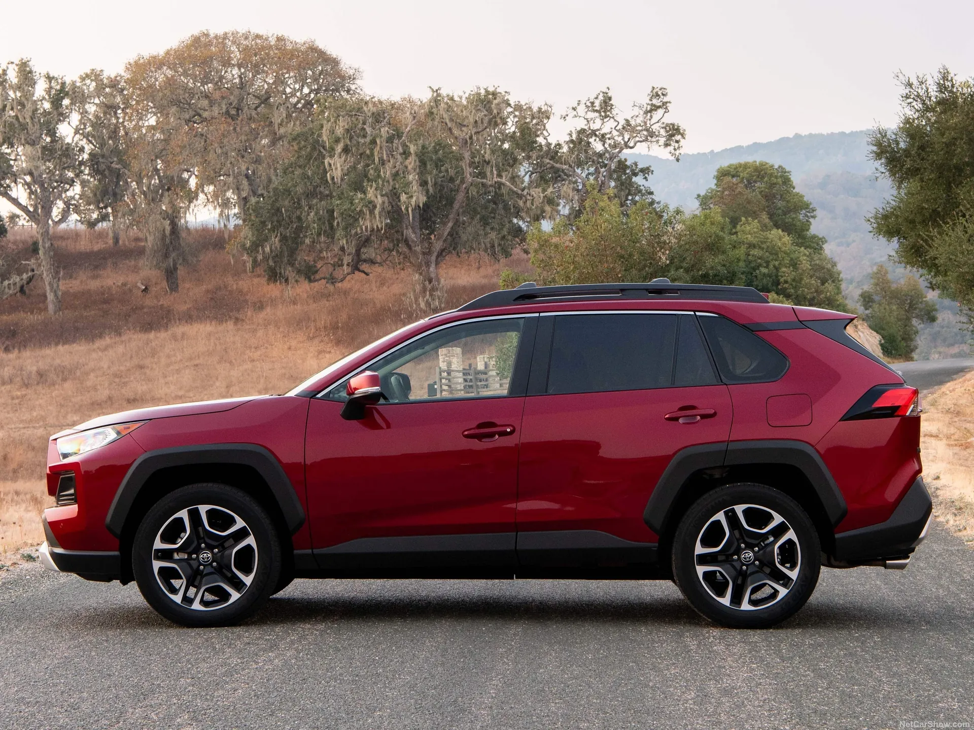 Toyota RAV4 Adventure (2019) - Side Profile