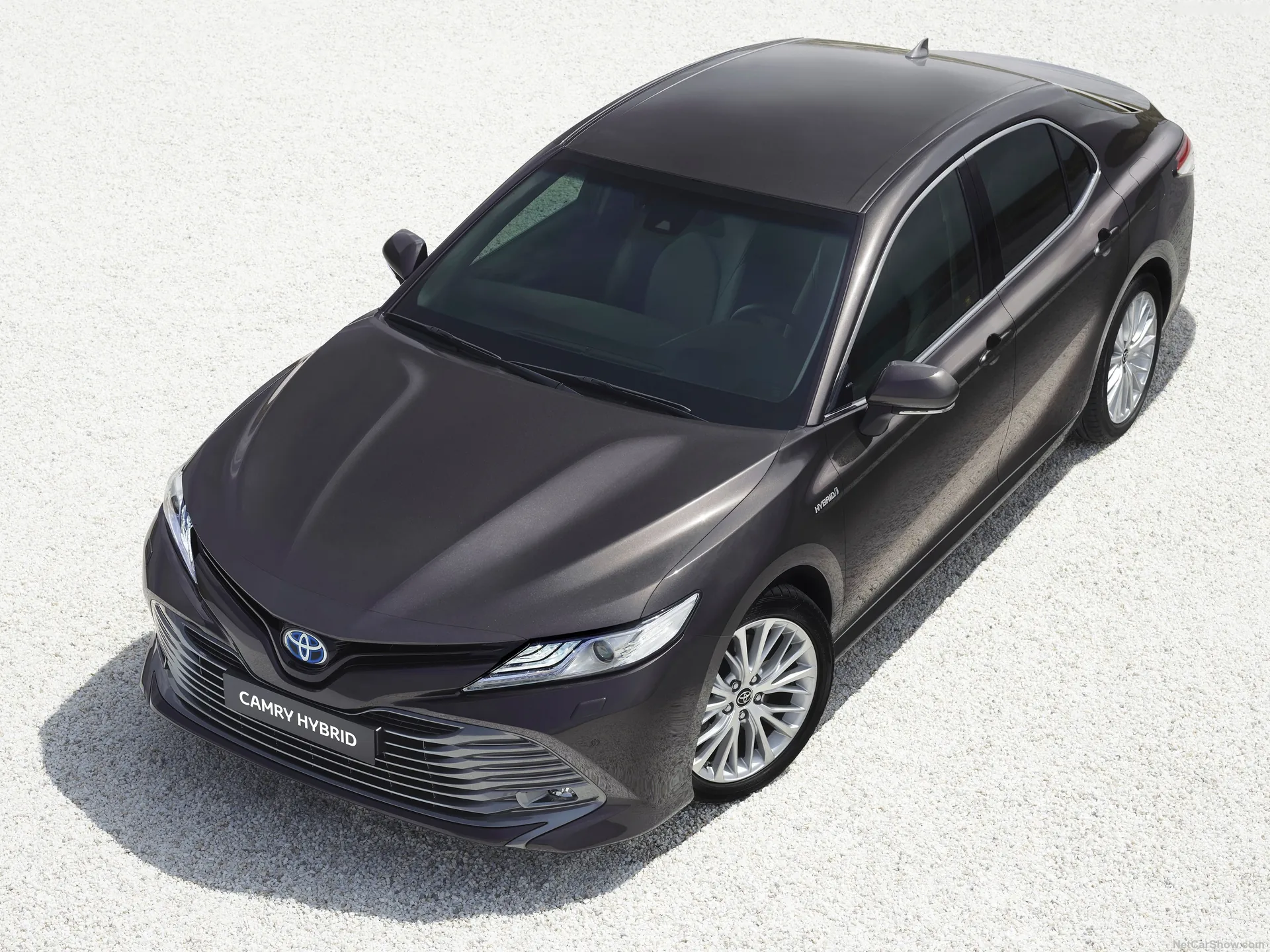 Toyota Camry Hybrid [EU] (2019)