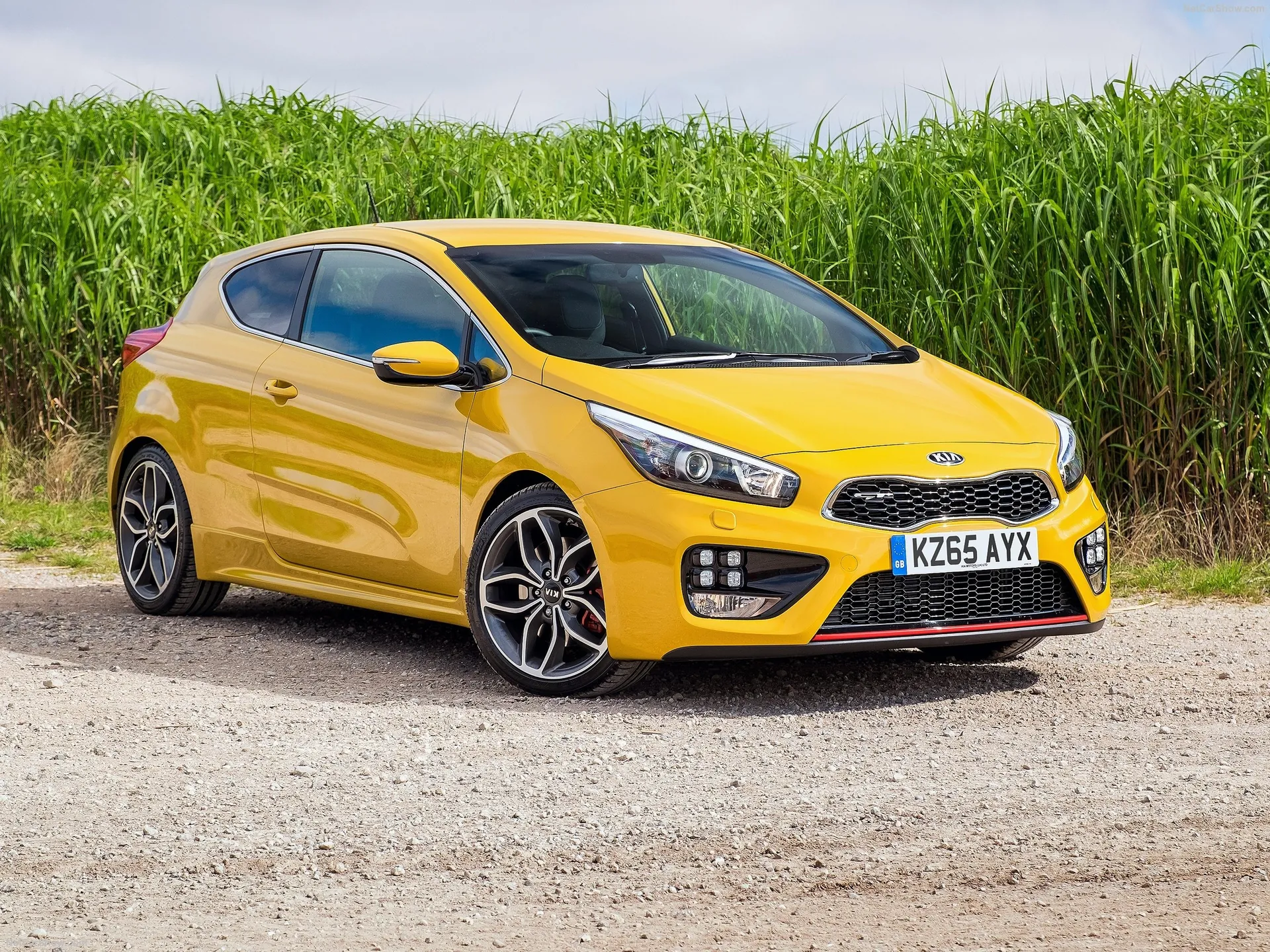 Kia Pro Ceed GT (2016)