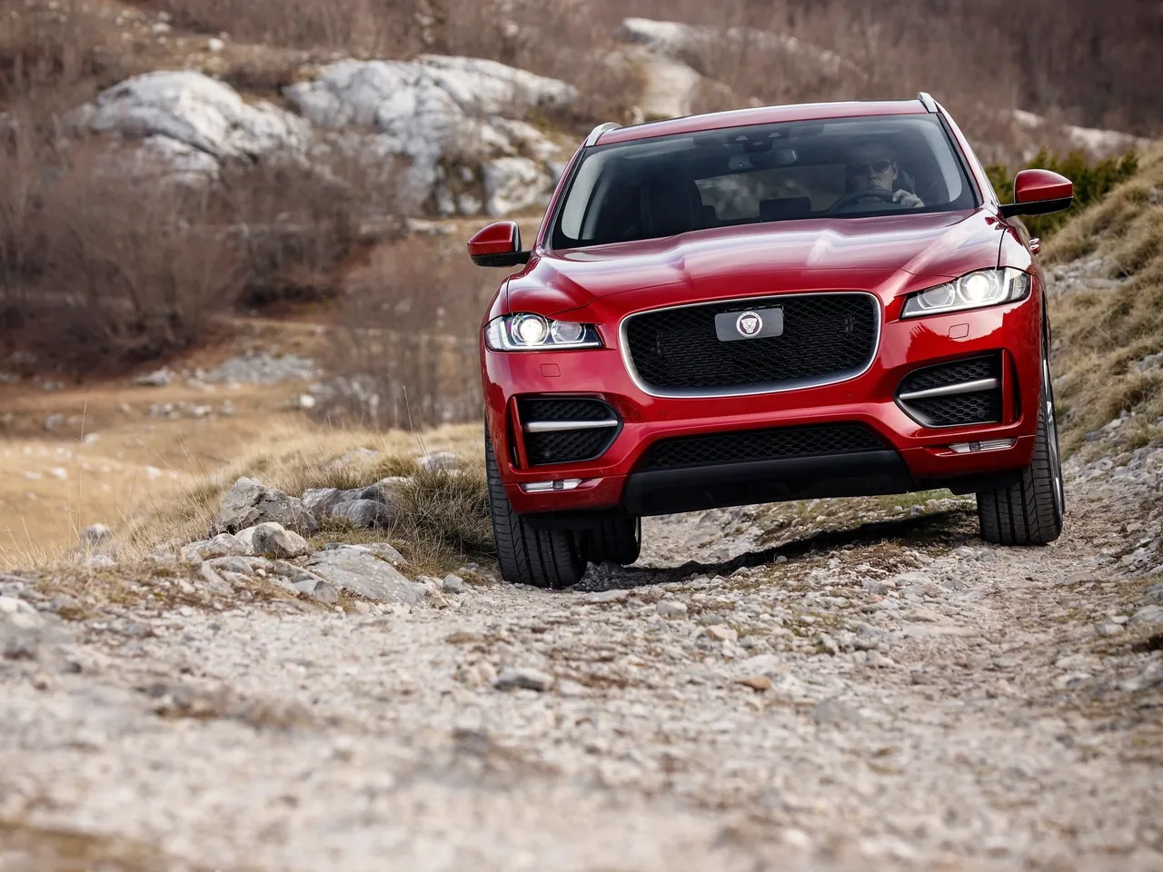 Jaguar F-Pace (2017) – zepředu