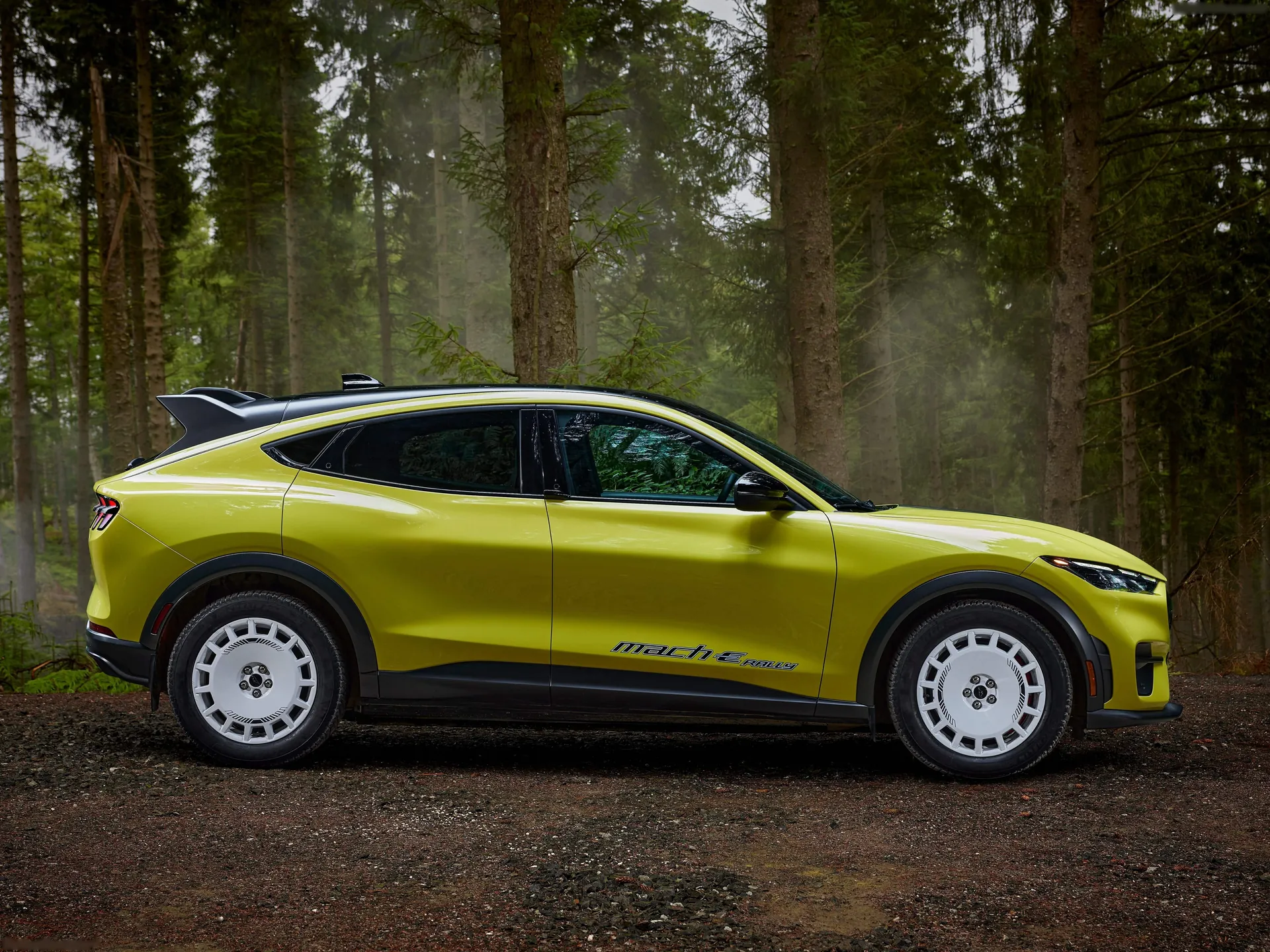 Ford Mustang Mach-E Rally (2024) – boční profil
