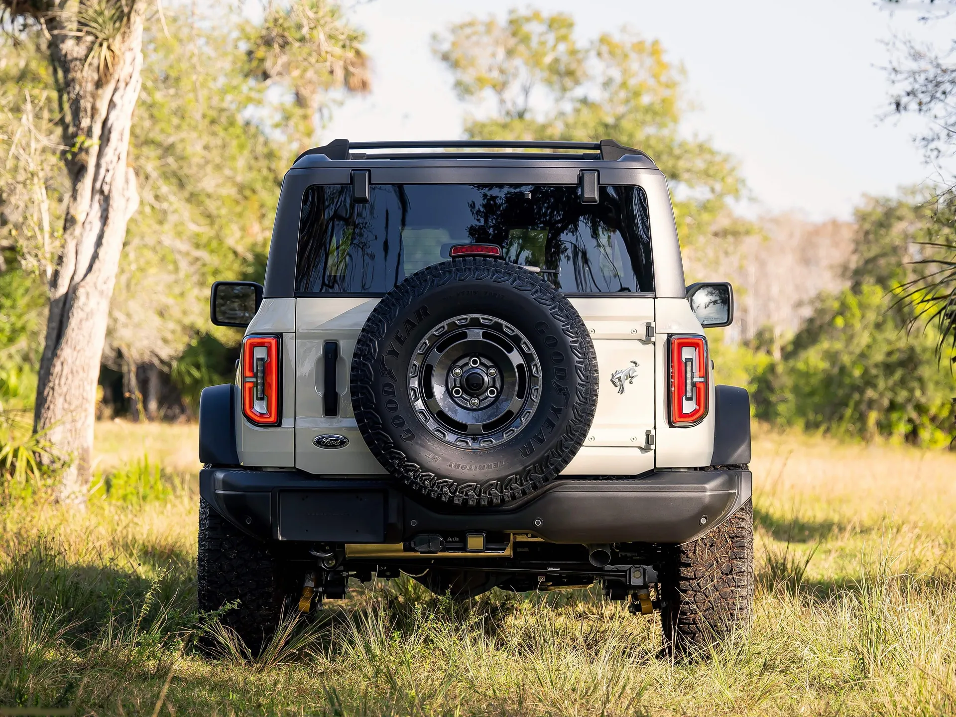 Ford Bronco Everglades Edition (2022) – zezadu