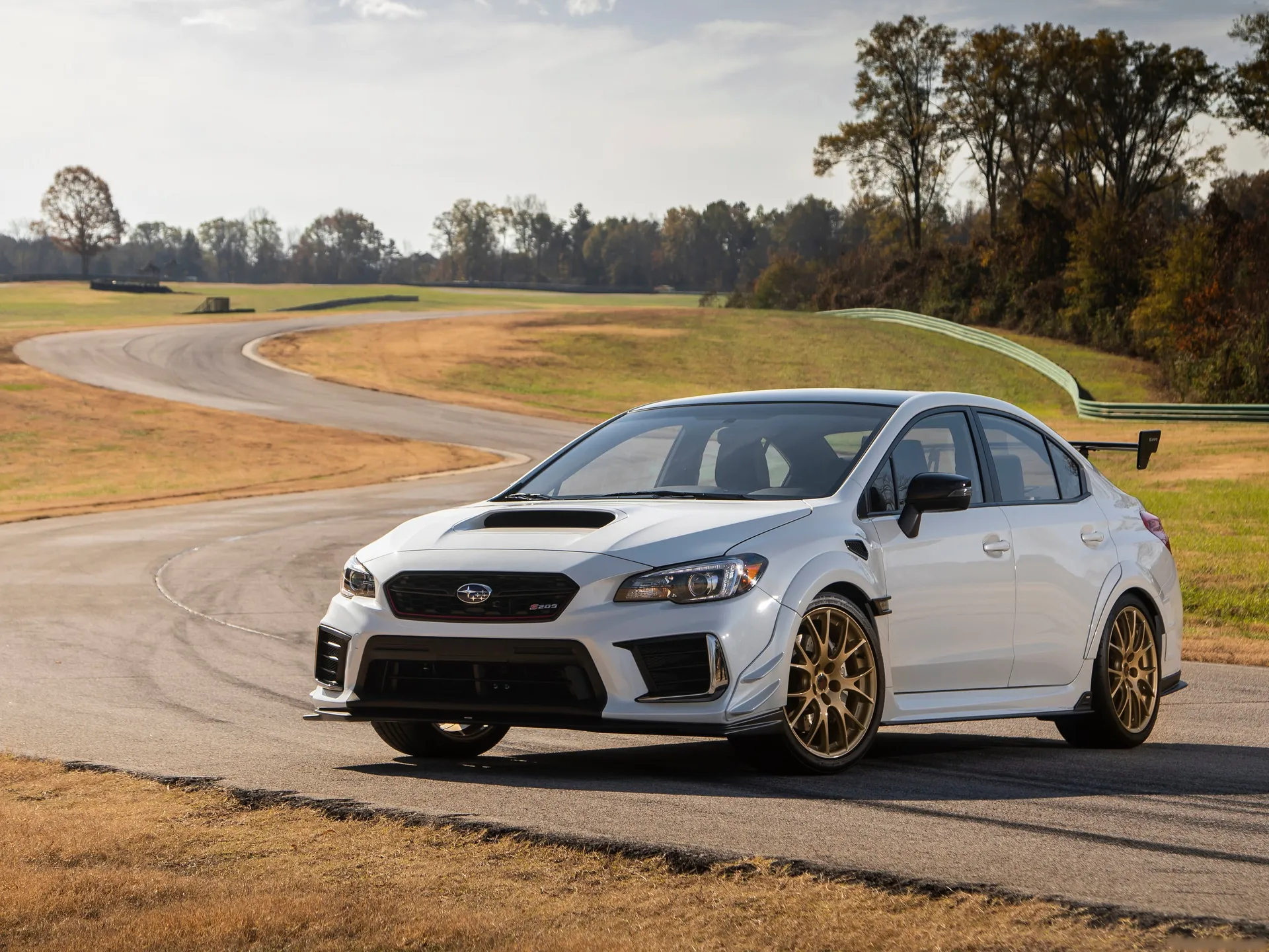 Subaru WRX STI S209 (2019)