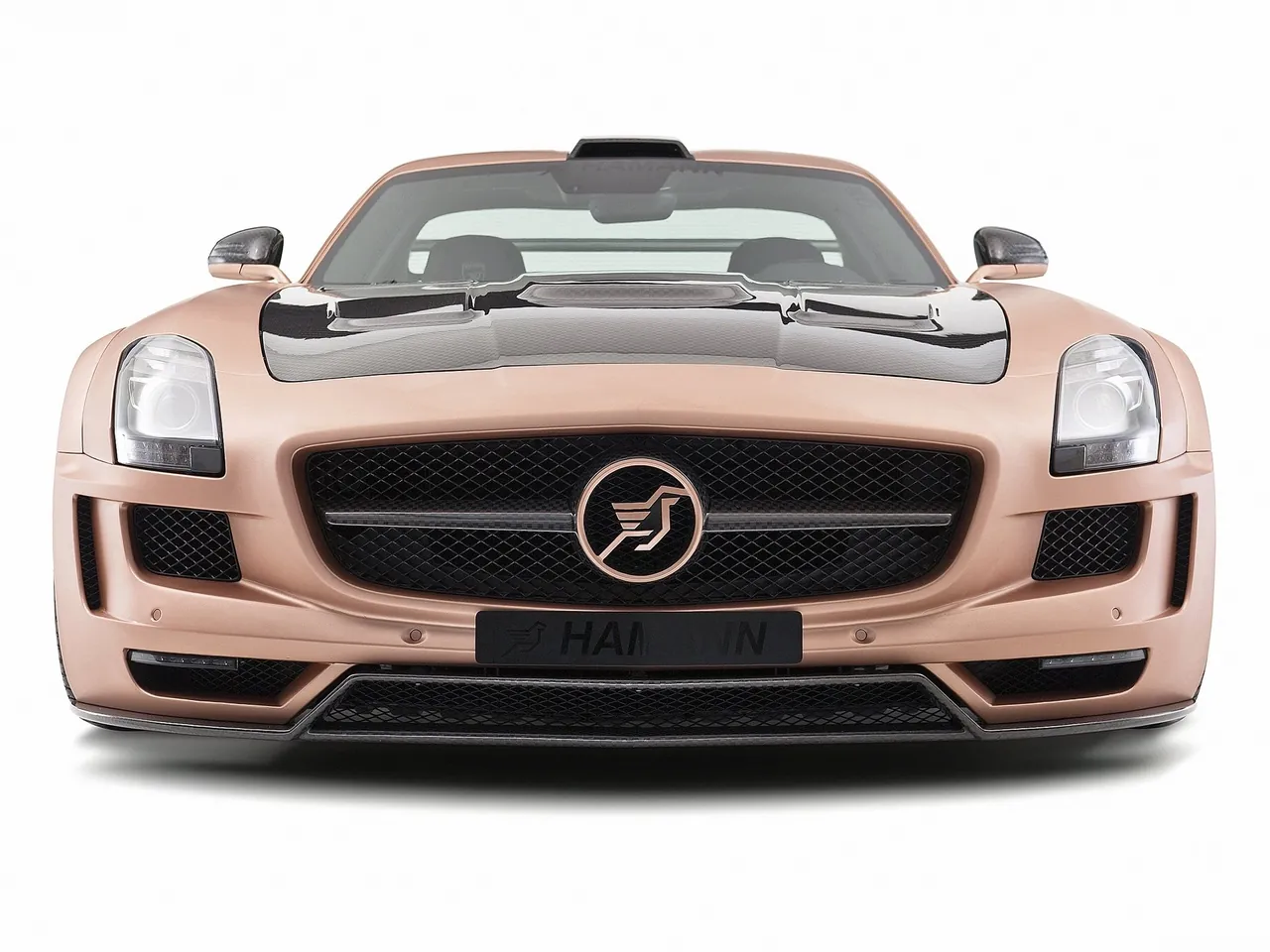 Hamann Hawk (2011) – zepředu