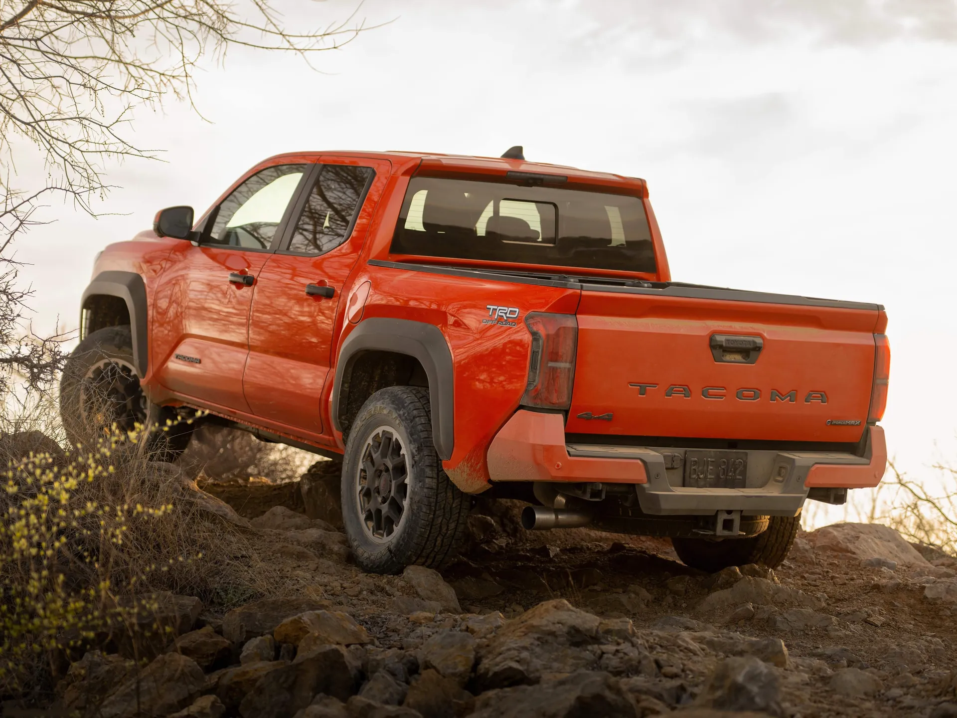 Toyota Tacoma i-FORCE MAX TRD Off-Road (2024) – zadní tříčtvrteční pohled