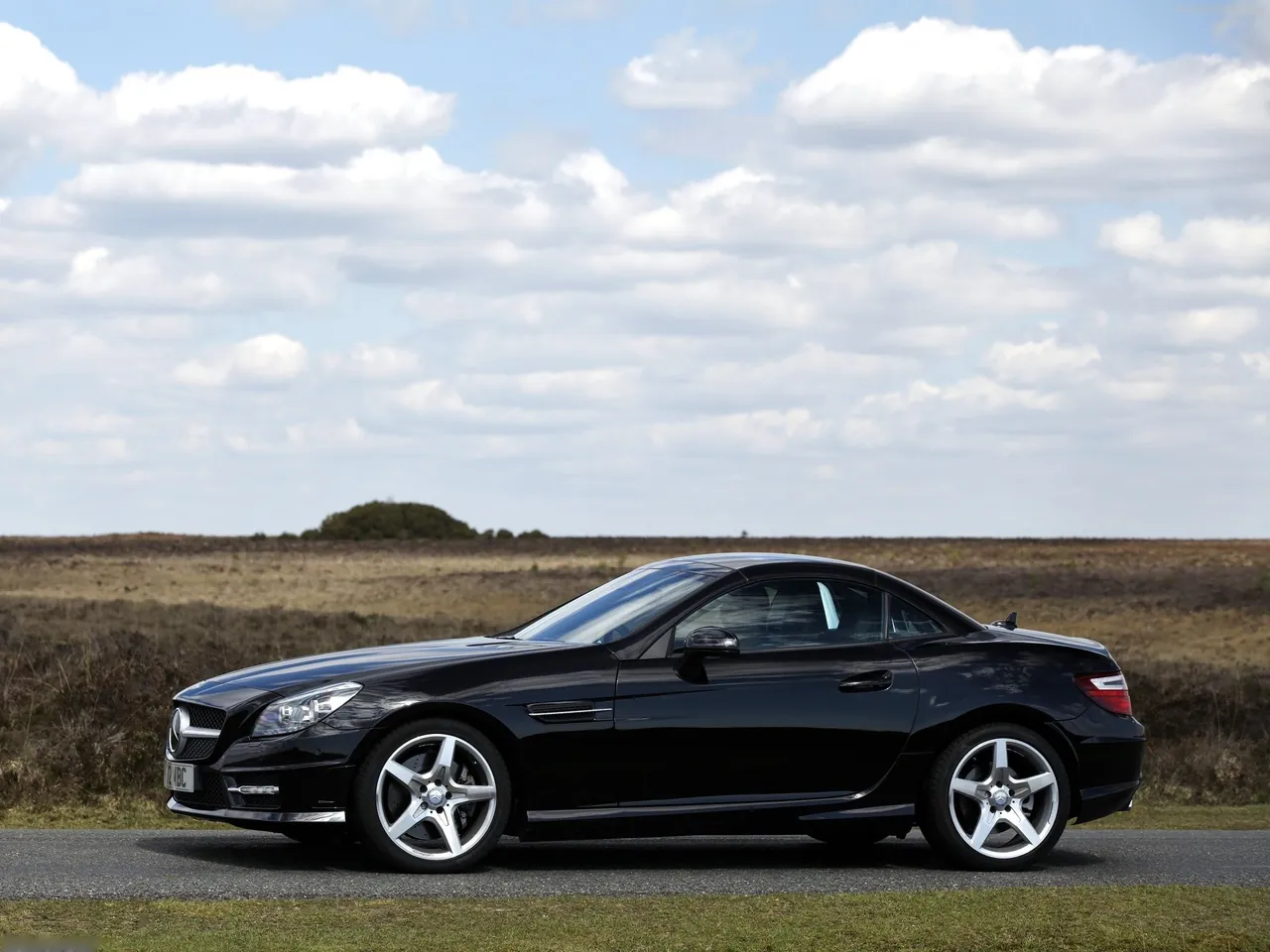 Mercedes-Benz SLK250 CDI (2012) - Side Profile