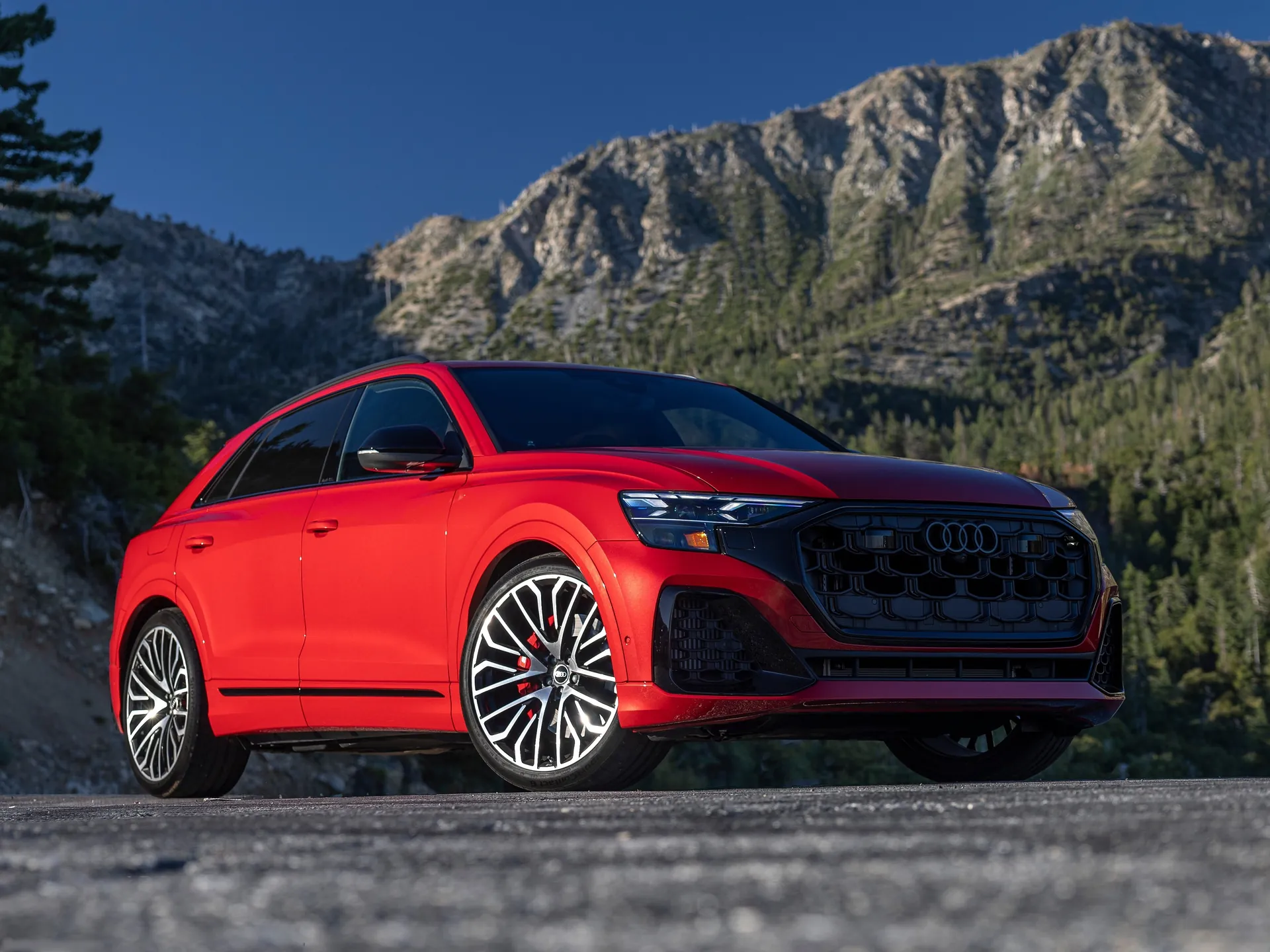 Audi SQ8 TFSI [US] (2025)